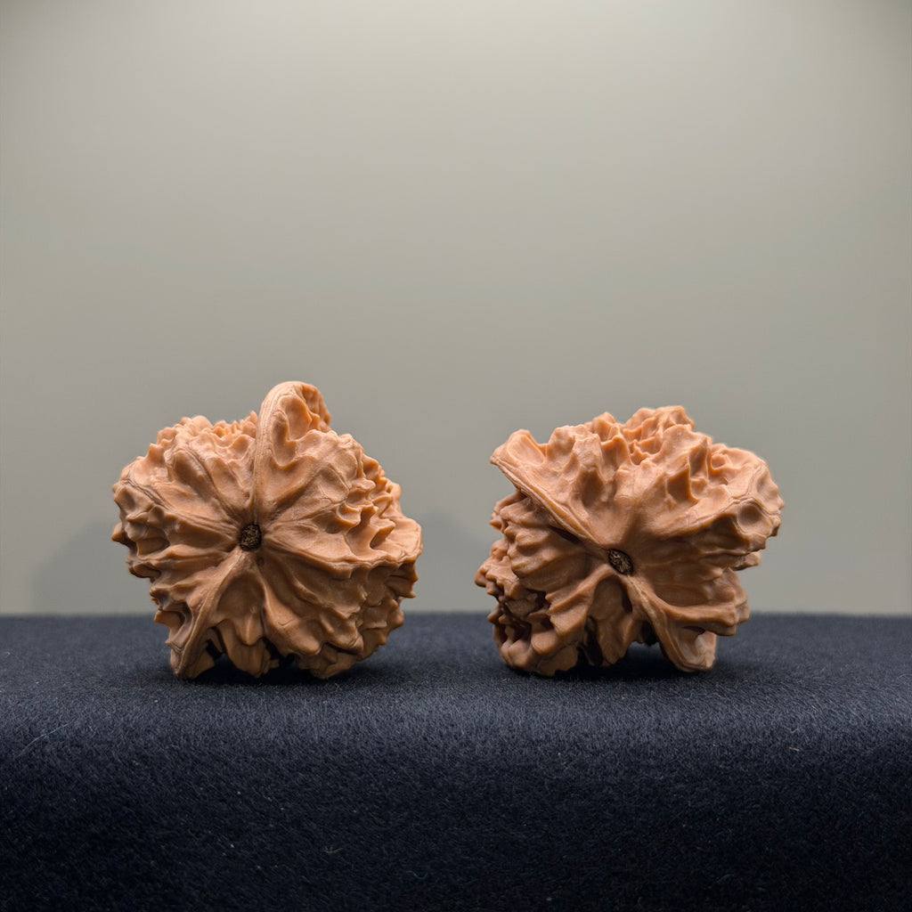 WalnutRitual Exclusive · First Love Wenwan Walnut · 37mm · Natural · Entry Ritual