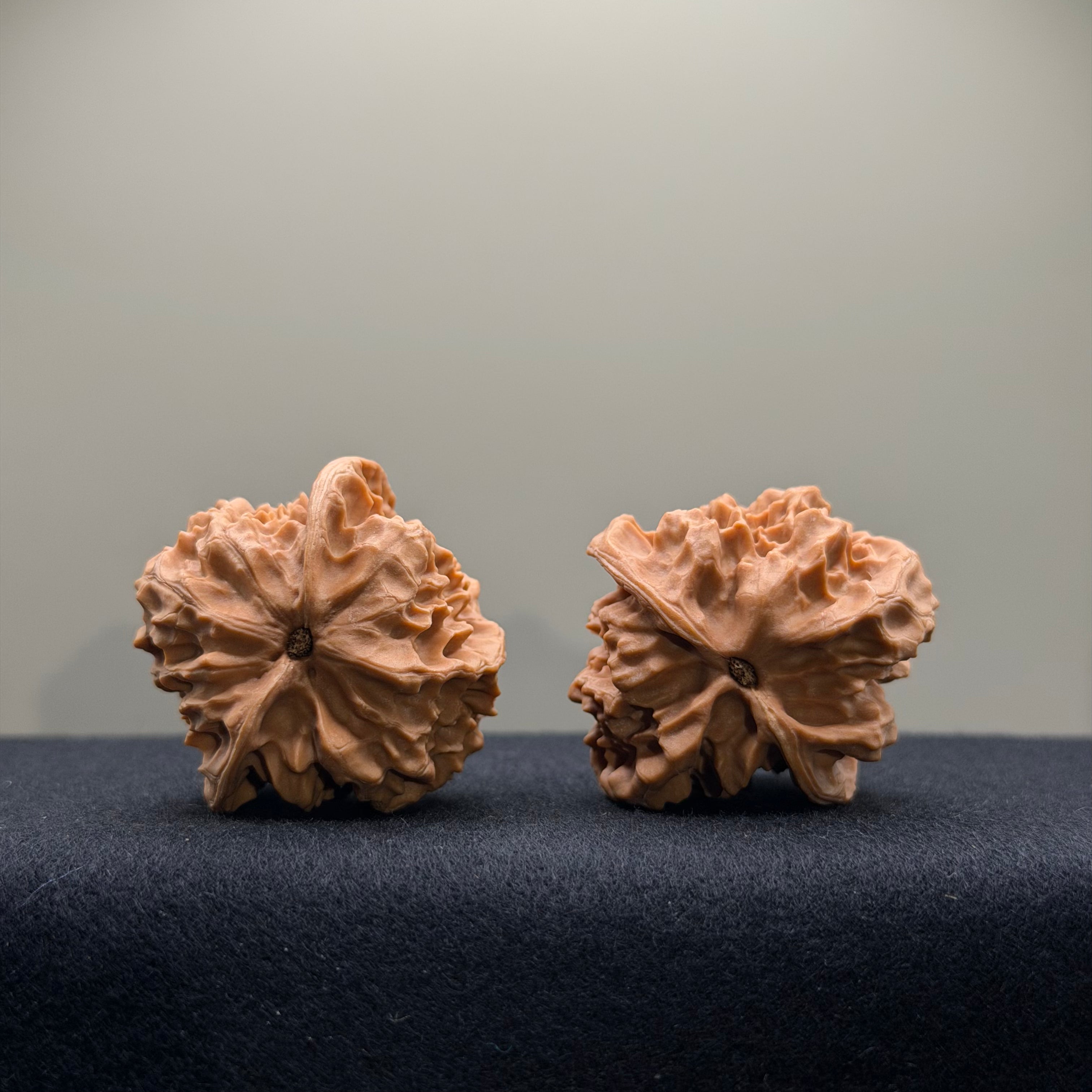 WalnutRitual Exclusive · First Love Wenwan Walnut · 37mm · Natural · Entry Ritual