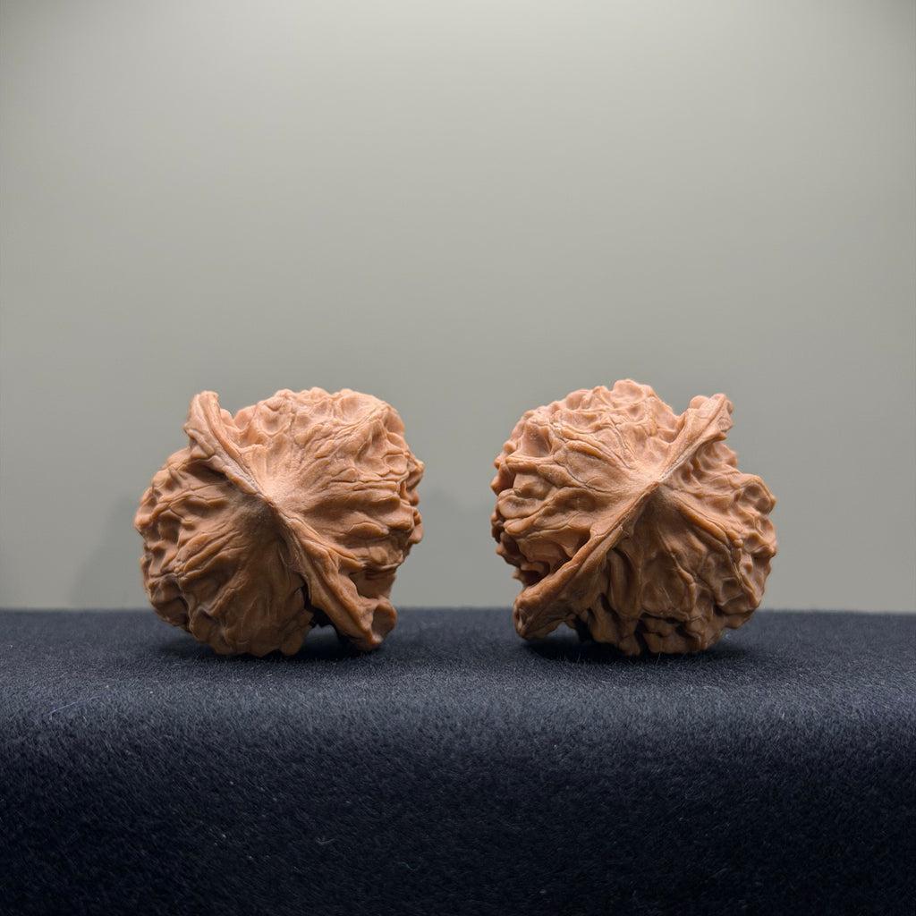 WalnutRitual Exclusive · First Love Wenwan Walnut · 40mm · Natural · Select Ritual