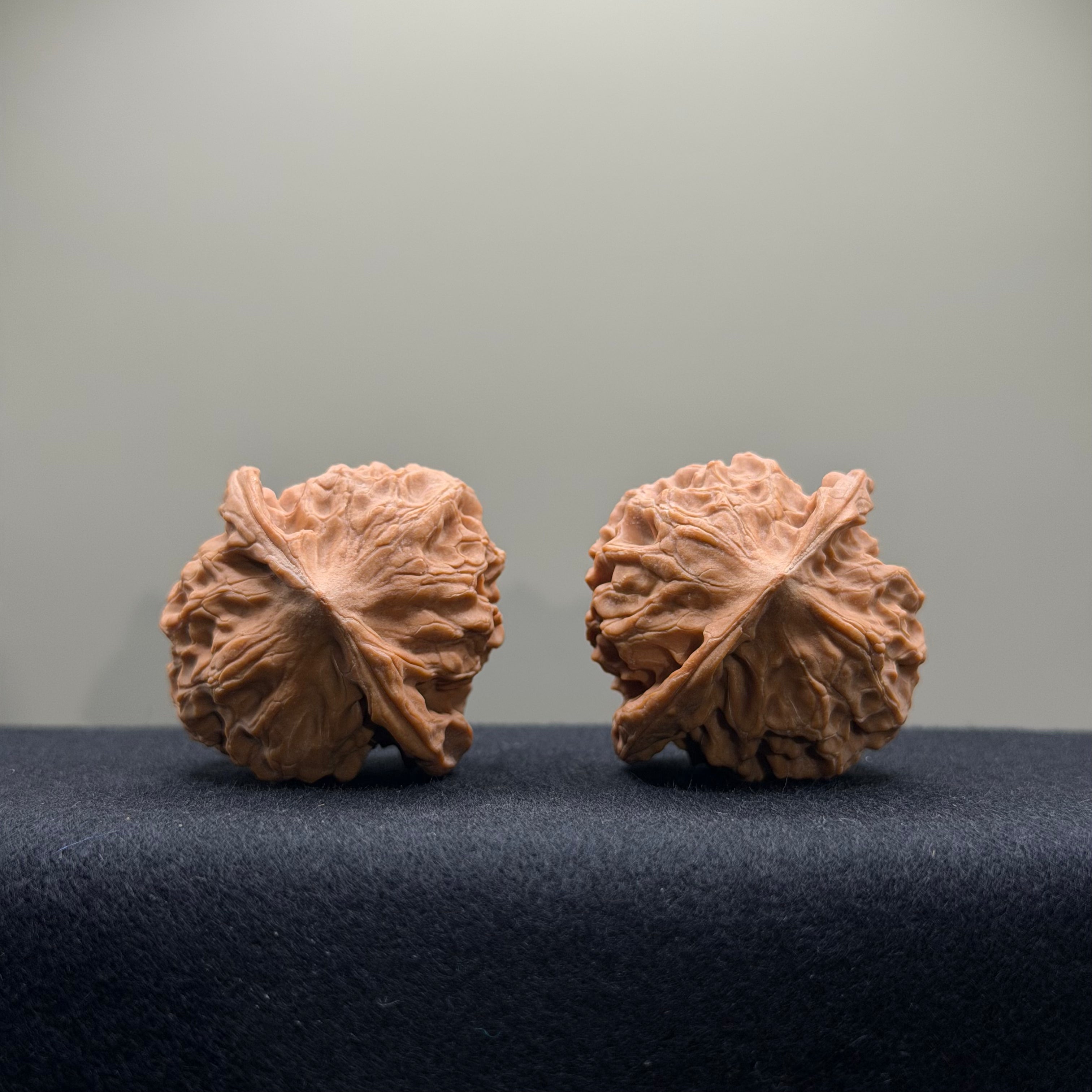 WalnutRitual Exclusive · First Love Wenwan Walnut · 40mm · Natural · Select Ritual