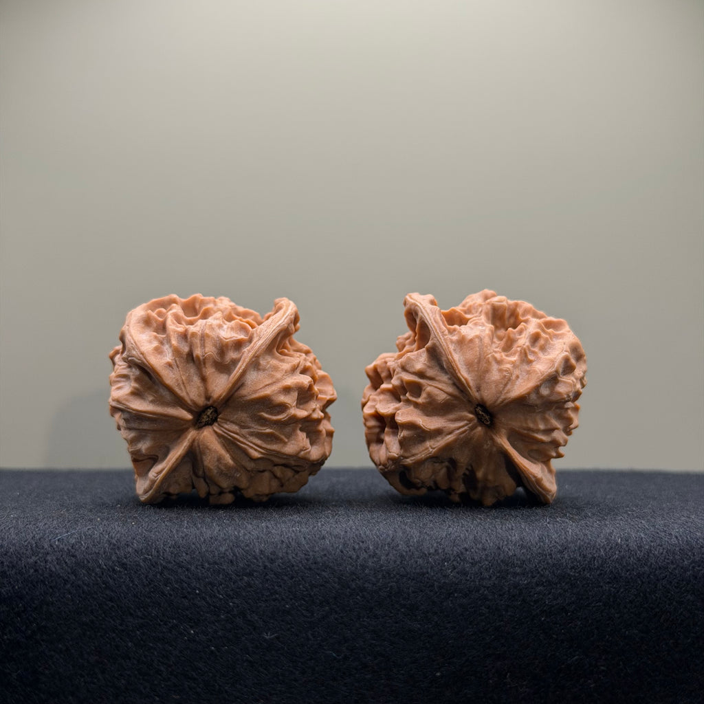 WalnutRitual Exclusive · First Love Wenwan Walnut · 40mm · Natural · Select Ritual