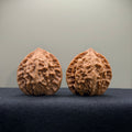 WalnutRitual Exclusive · First Love Wenwan Walnut · 39mm · Natural · Select Ritual