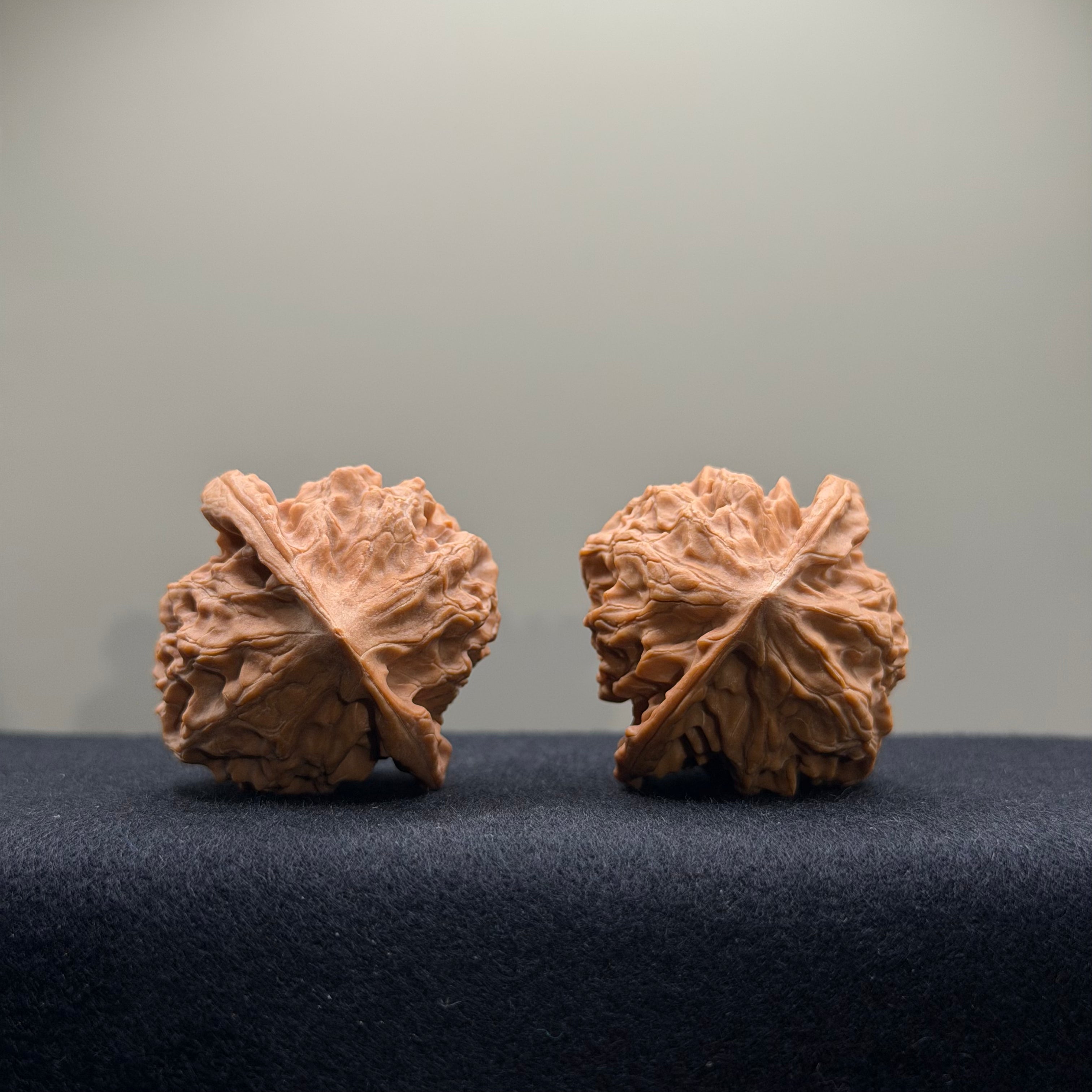 WalnutRitual Exclusive · First Love Wenwan Walnut · 39mm · Natural · Select Ritual