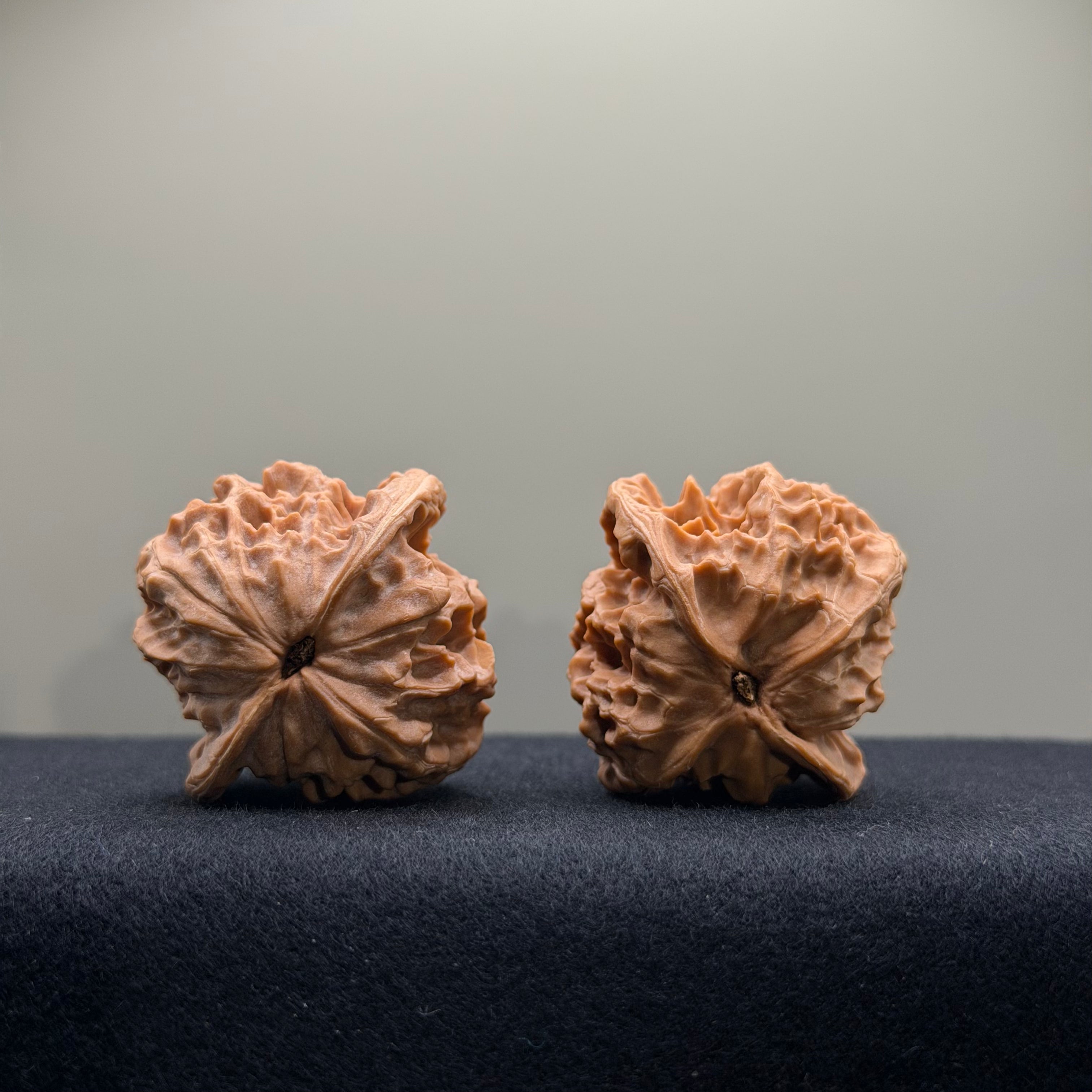 WalnutRitual Exclusive · First Love Wenwan Walnut · 39mm · Natural · Select Ritual