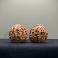 WalnutRitual Exclusive · First Love Wenwan Walnut · 34mm · Natural · Select Ritual
