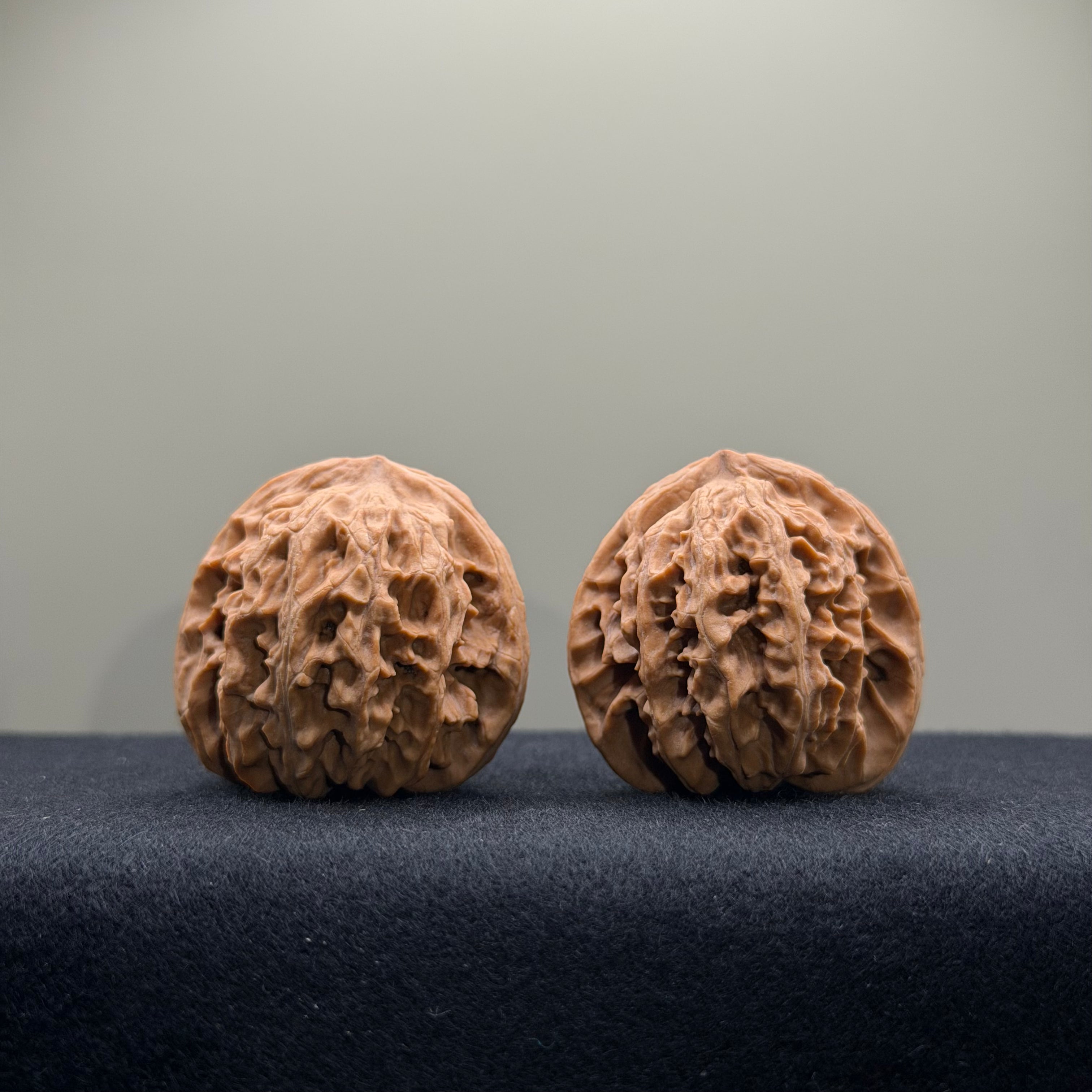 WalnutRitual Exclusive · First Love Wenwan Walnut · 34mm · Natural · Select Ritual