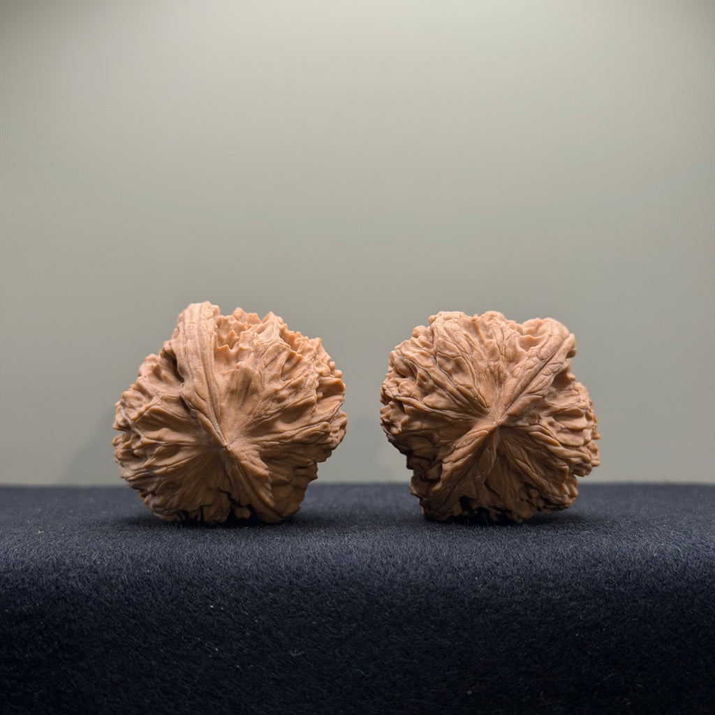 WalnutRitual Exclusive · First Love Wenwan Walnut · 34mm · Natural · Select Ritual