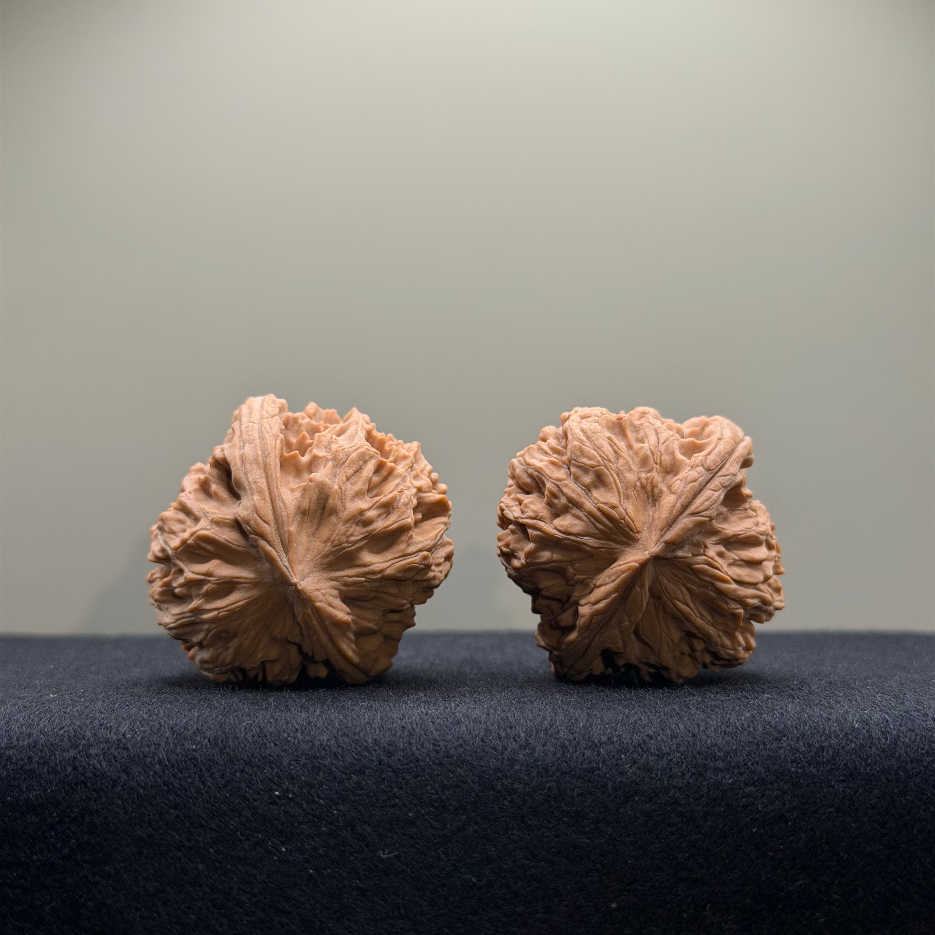 WalnutRitual Exclusive · First Love Wenwan Walnut · 34mm · Natural · Select Ritual