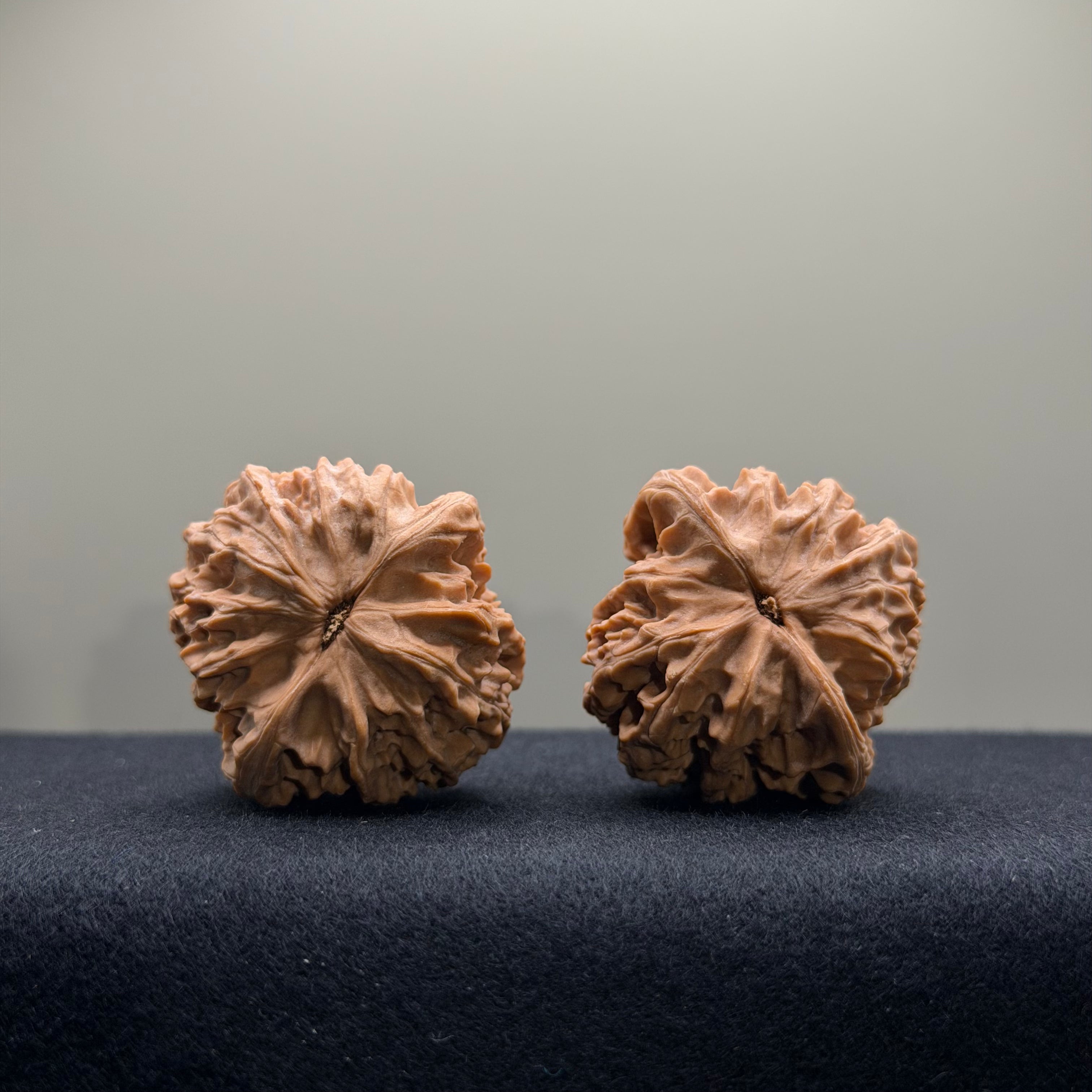 WalnutRitual Exclusive · First Love Wenwan Walnut · 34mm · Natural · Select Ritual