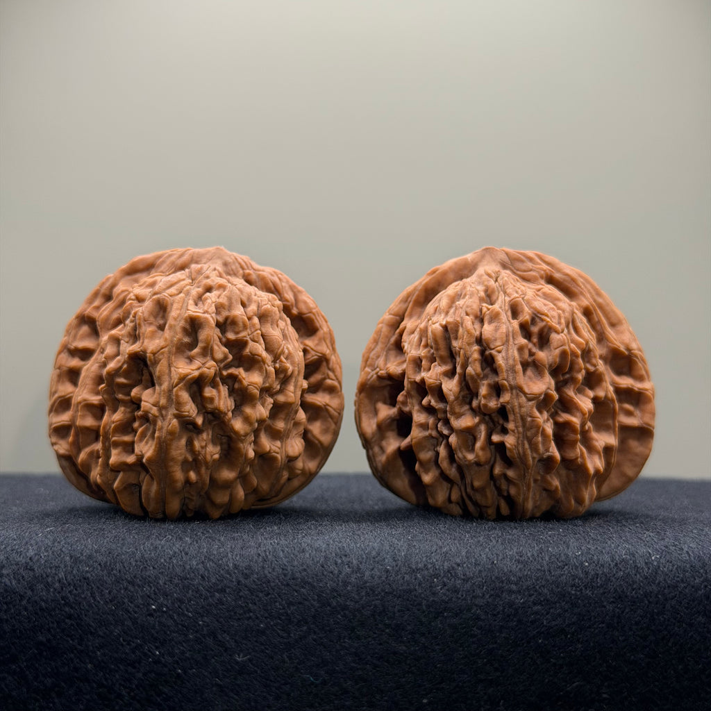 Four Towers Wenwan Walnut · 40mm · Natural · Select Ritual