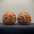 Four Towers Wenwan Walnut · 40mm · Natural · Select Ritual