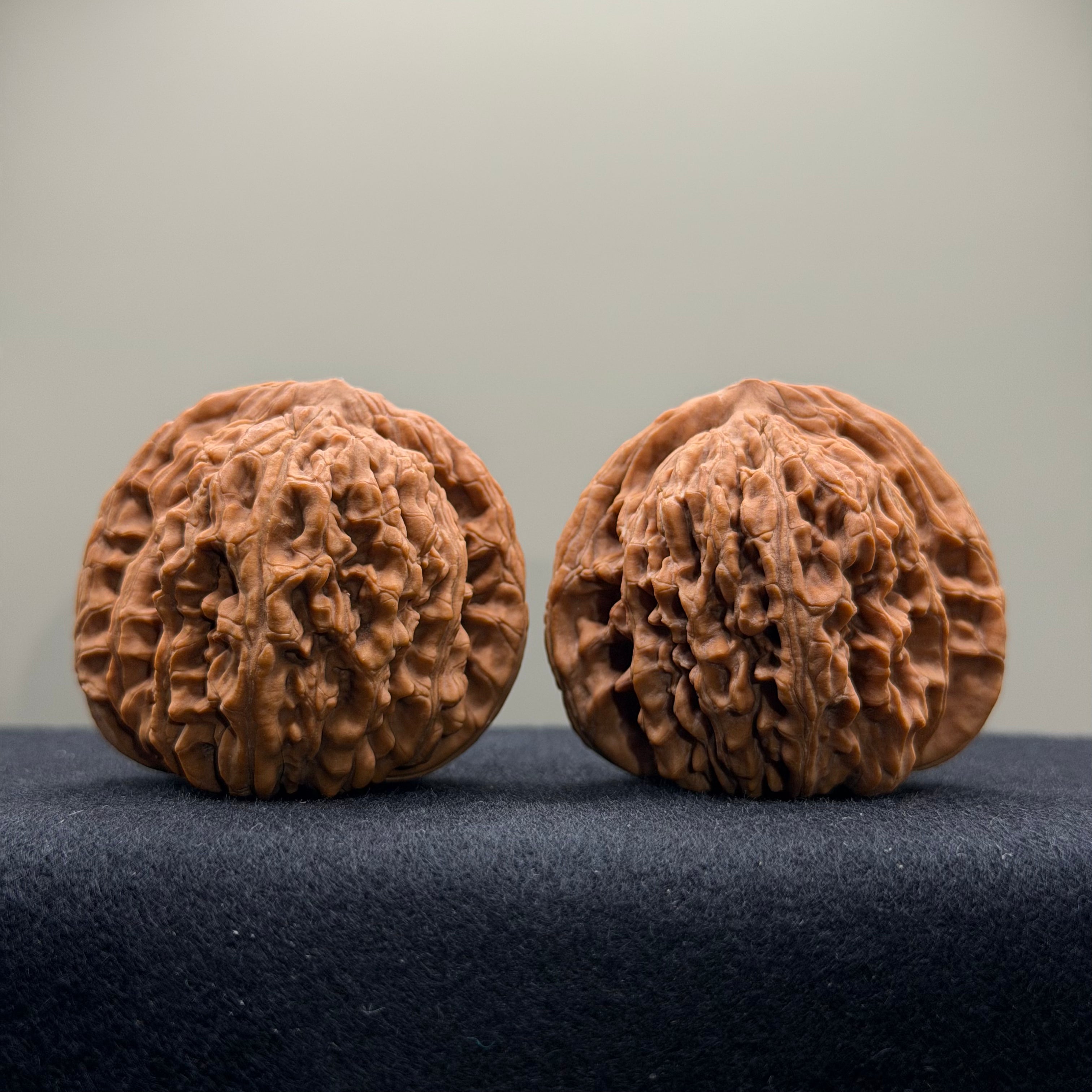 Four Towers Wenwan Walnut · 40mm · Natural · Select Ritual