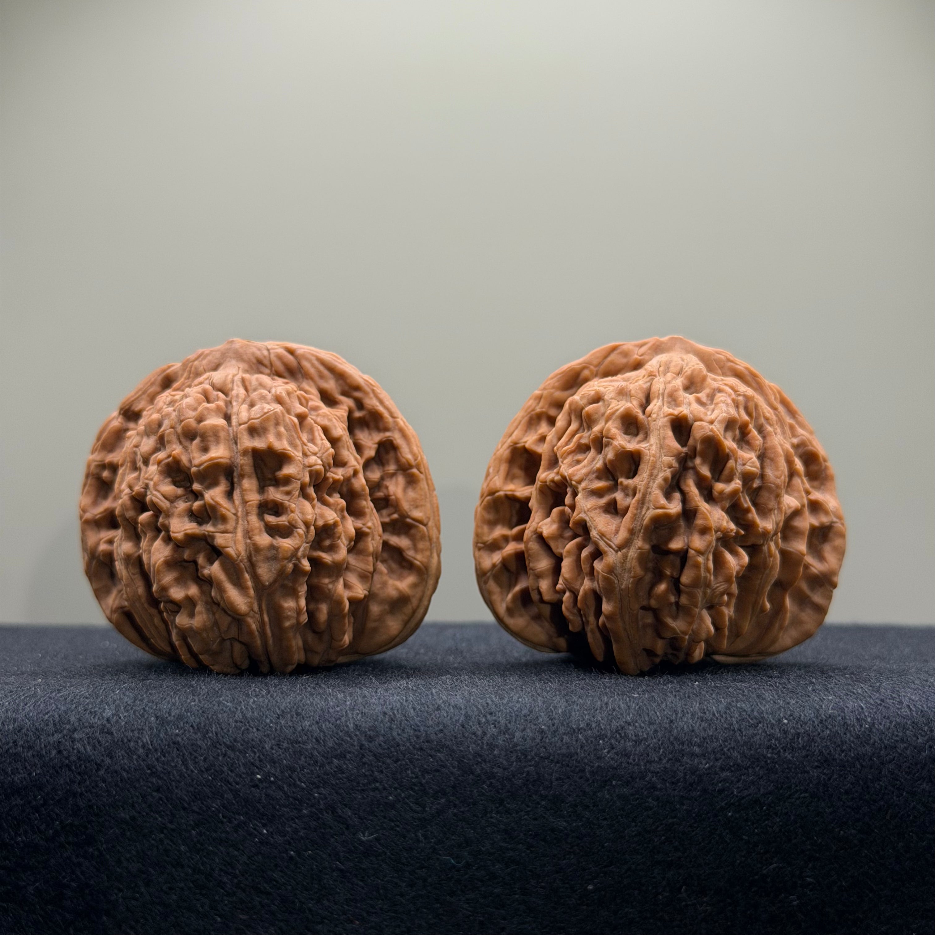 Four Towers Wenwan Walnut · 40mm · Natural · Select Ritual