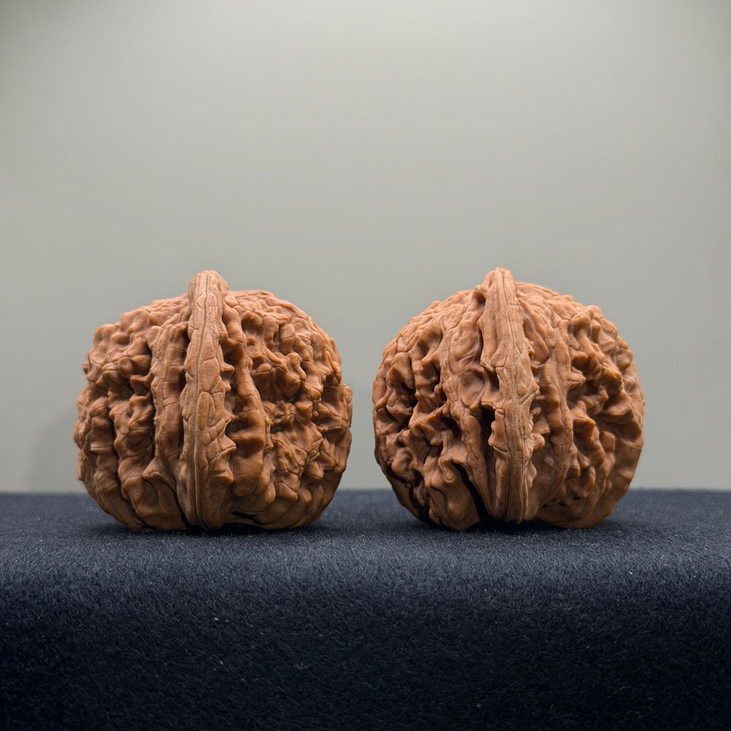 Four Towers Wenwan Walnut · 40mm · Natural · Select Ritual