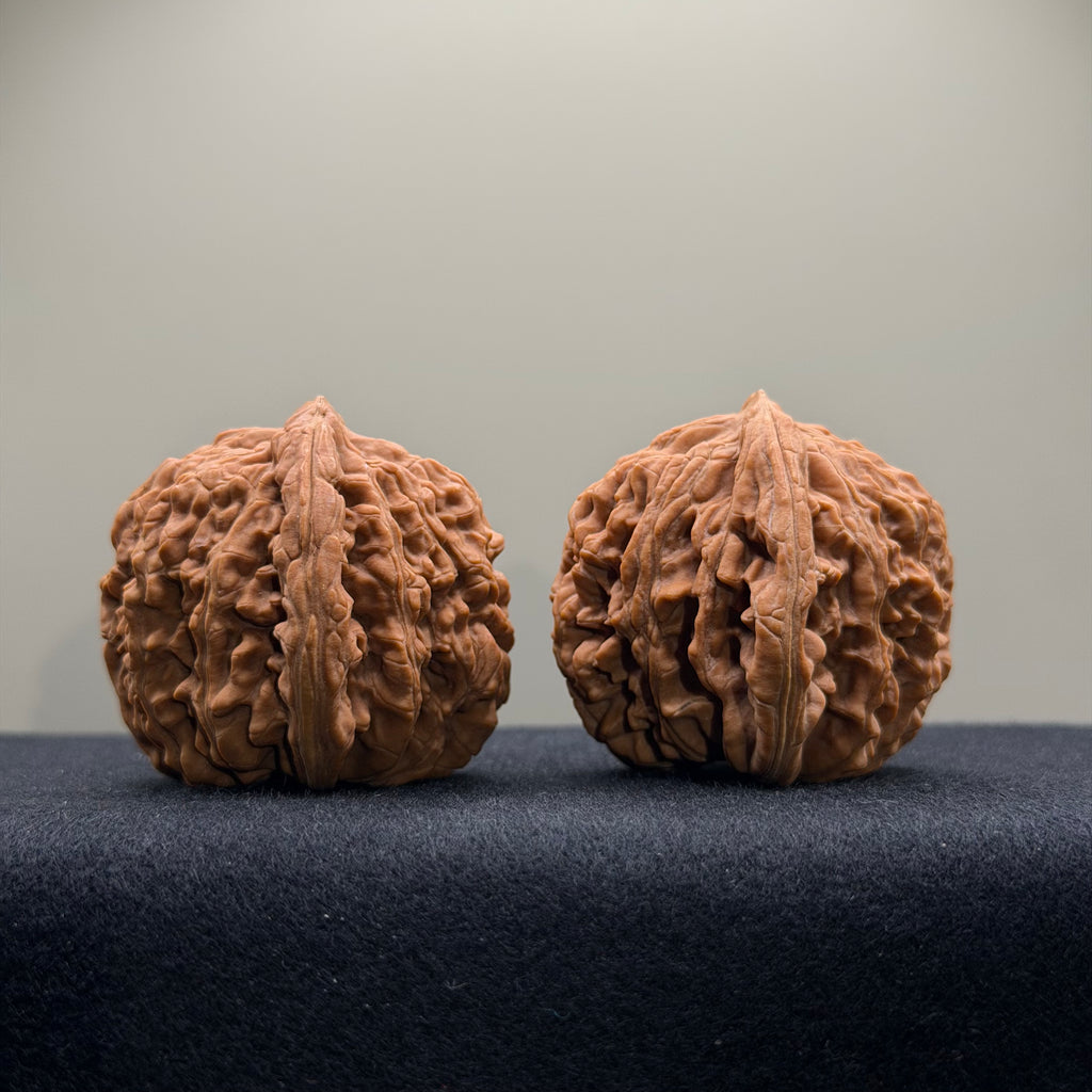 Four Towers Wenwan Walnut · 40mm · Natural · Select Ritual