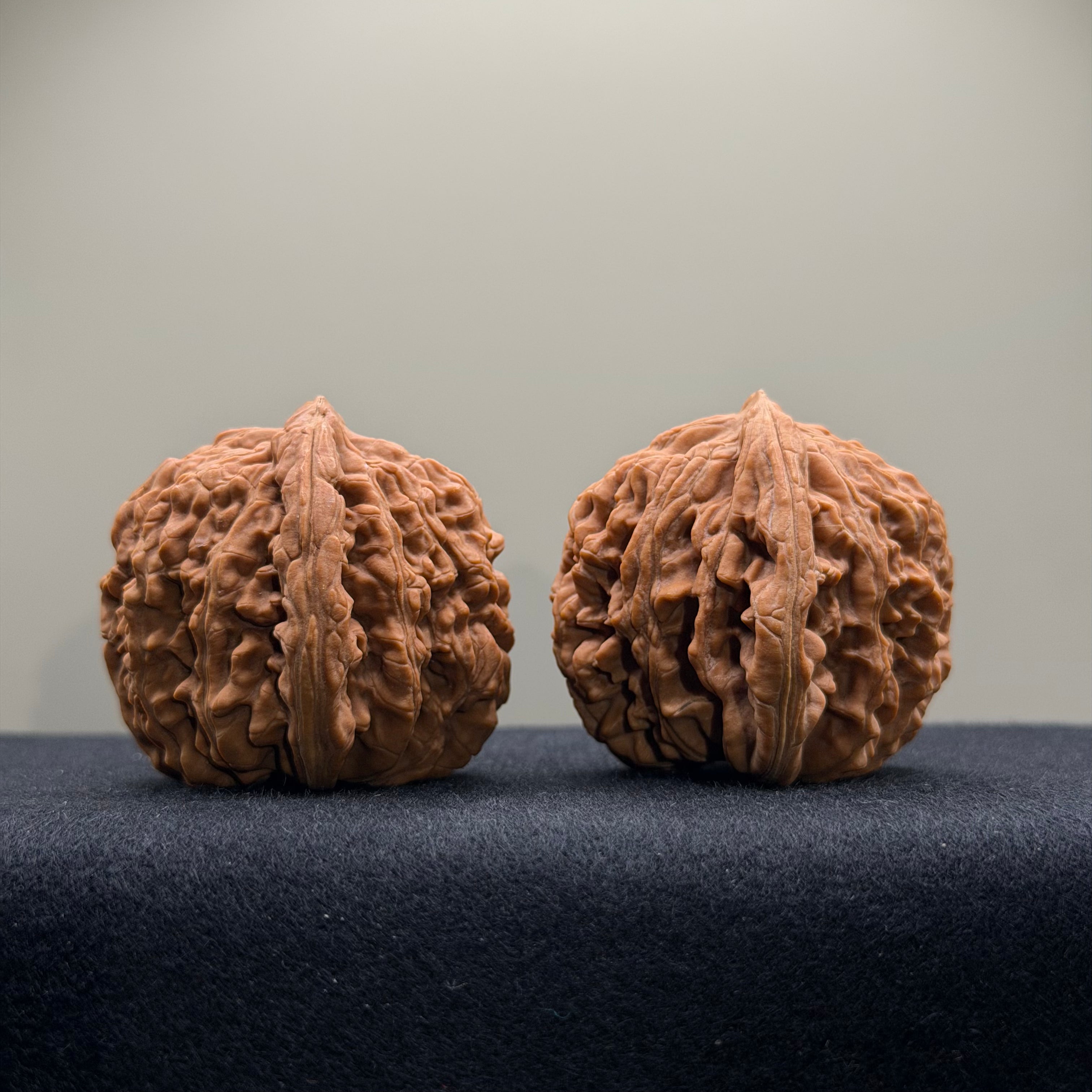 Four Towers Wenwan Walnut · 40mm · Natural · Select Ritual