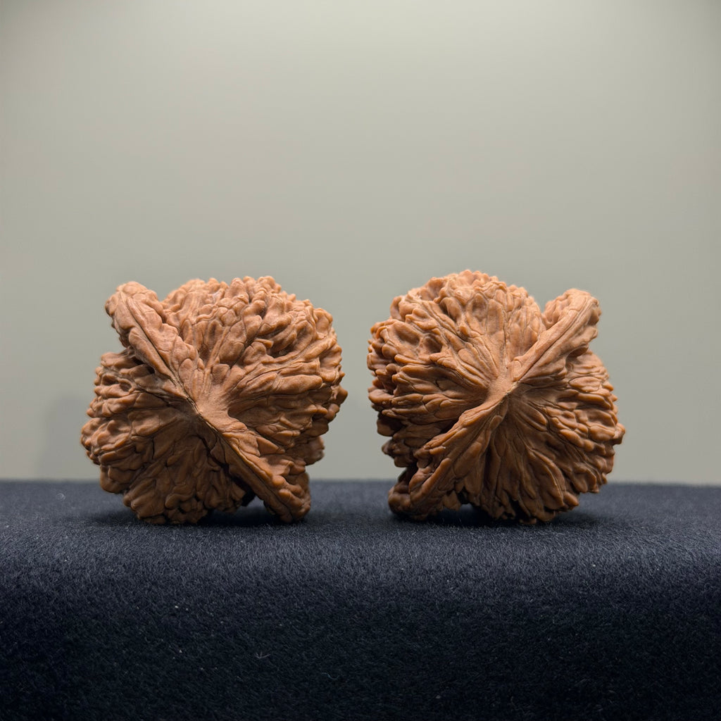 Four Towers Wenwan Walnut · 40mm · Natural · Select Ritual