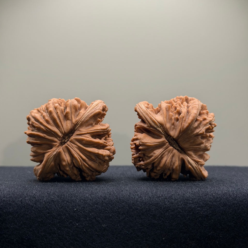 Four Towers Wenwan Walnut · 40mm · Natural · Select Ritual