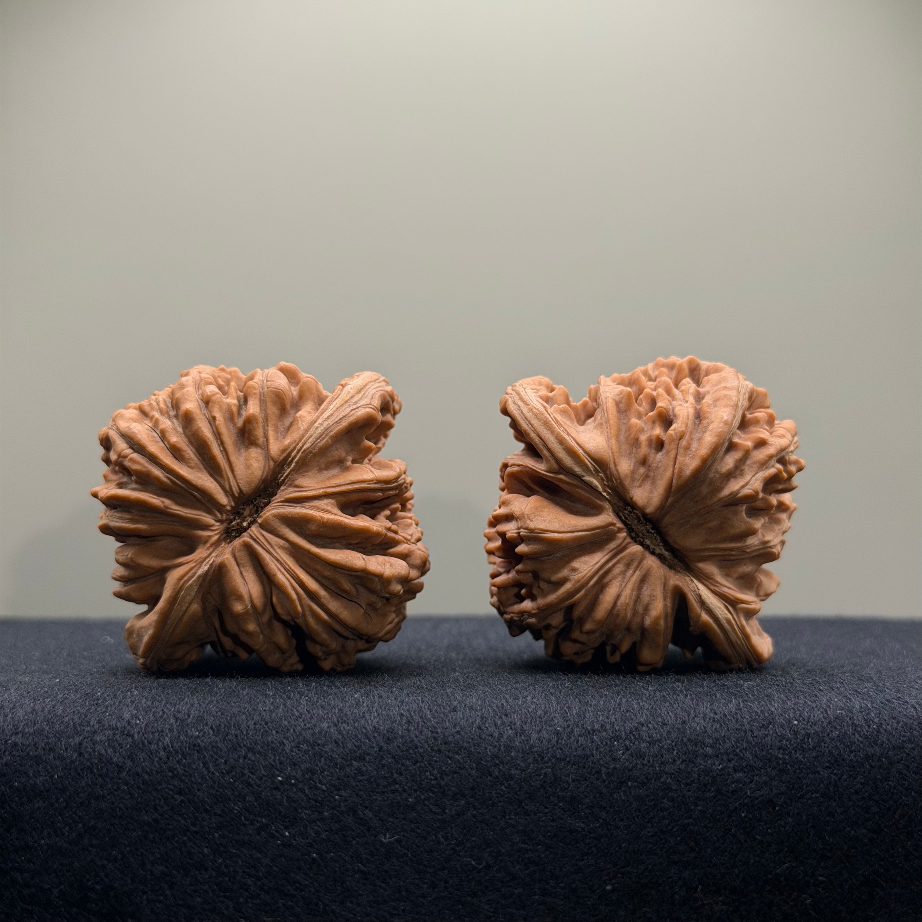 Four Towers Wenwan Walnut · 40mm · Natural · Select Ritual