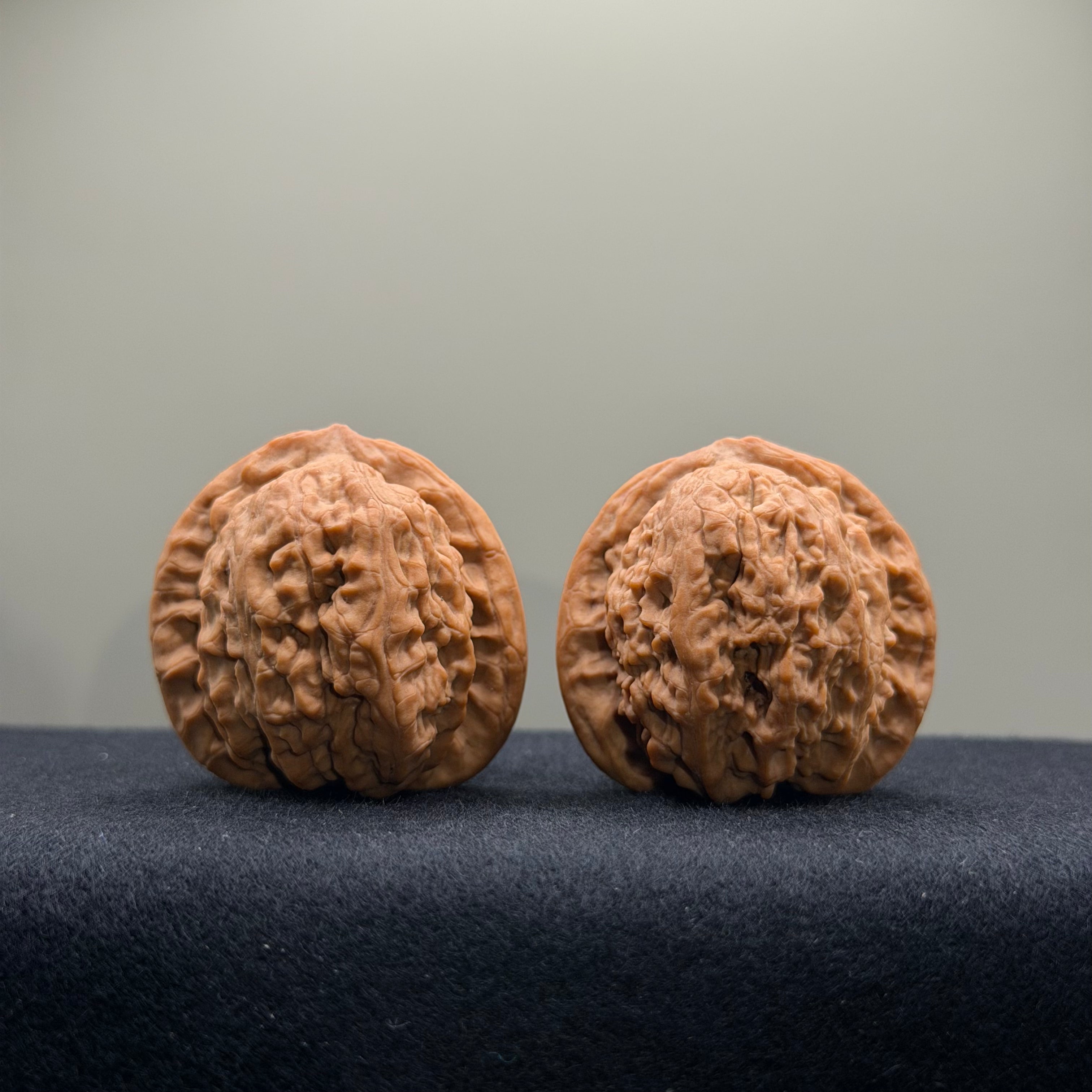 Dense Grain Wenwan Walnut · 38mm · Natural · Select Ritual