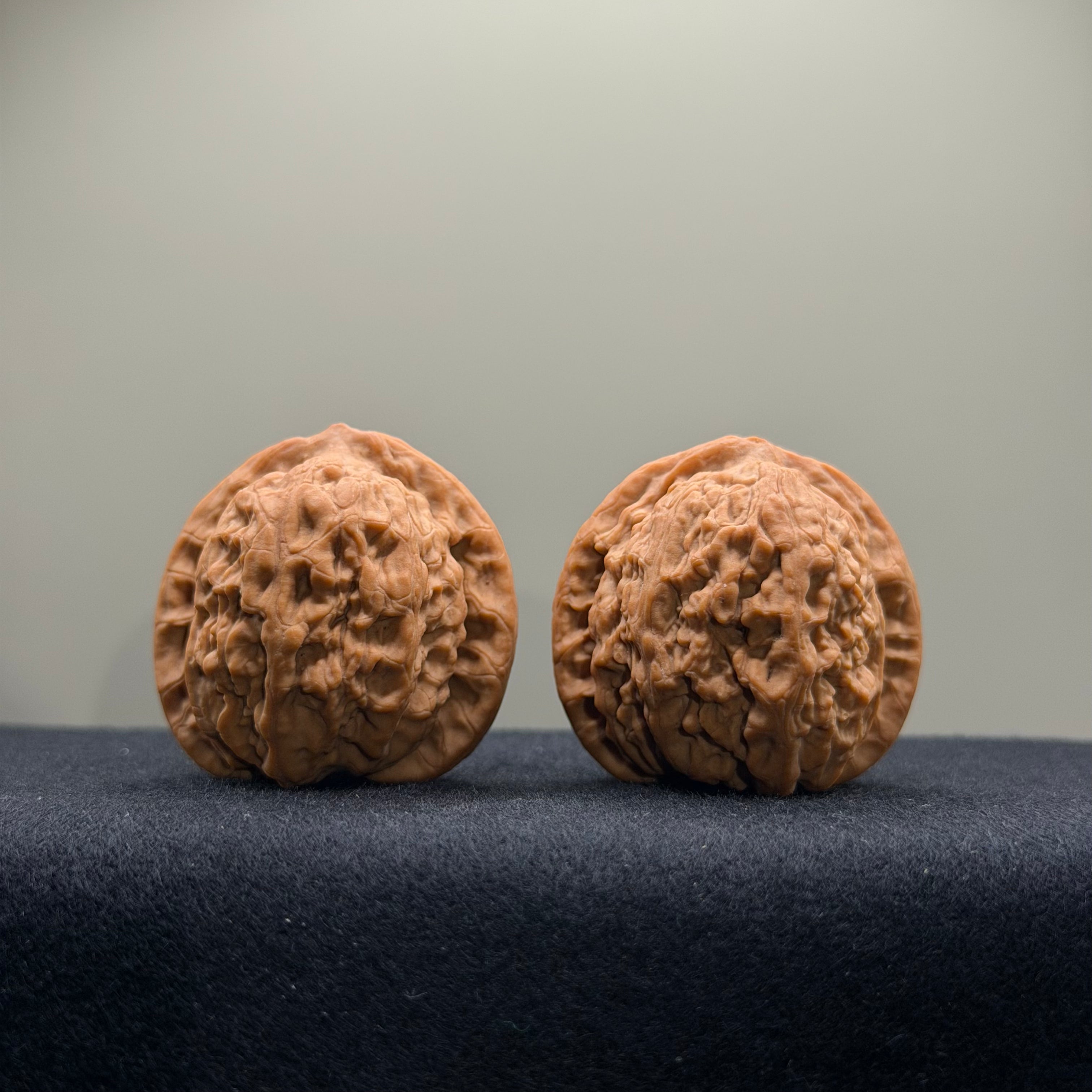 Dense Grain Wenwan Walnut · 38mm · Natural · Select Ritual