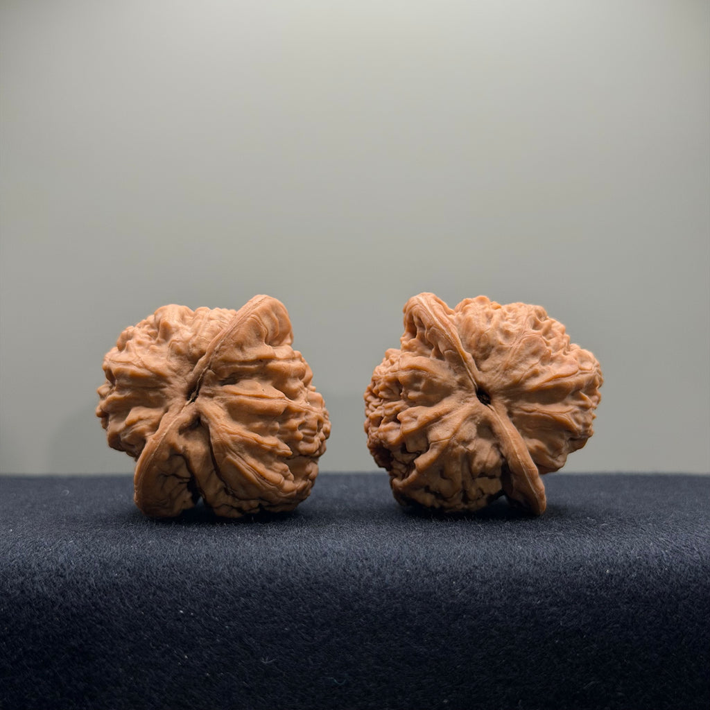 Dense Grain Wenwan Walnut · 38mm · Natural · Select Ritual