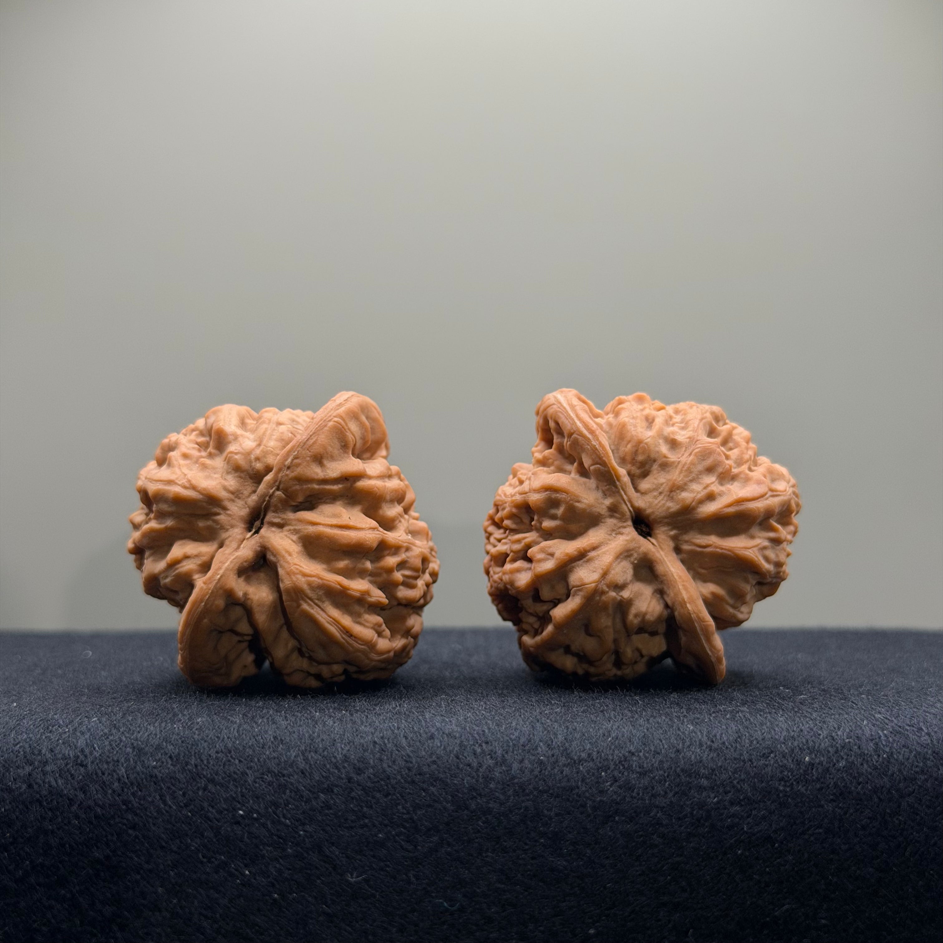 Dense Grain Wenwan Walnut · 38mm · Natural · Select Ritual