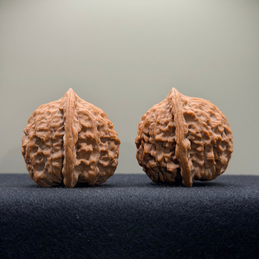 Wild · Wukong Wenwan Walnut  · 40mm · Natural · Collector Ritual
