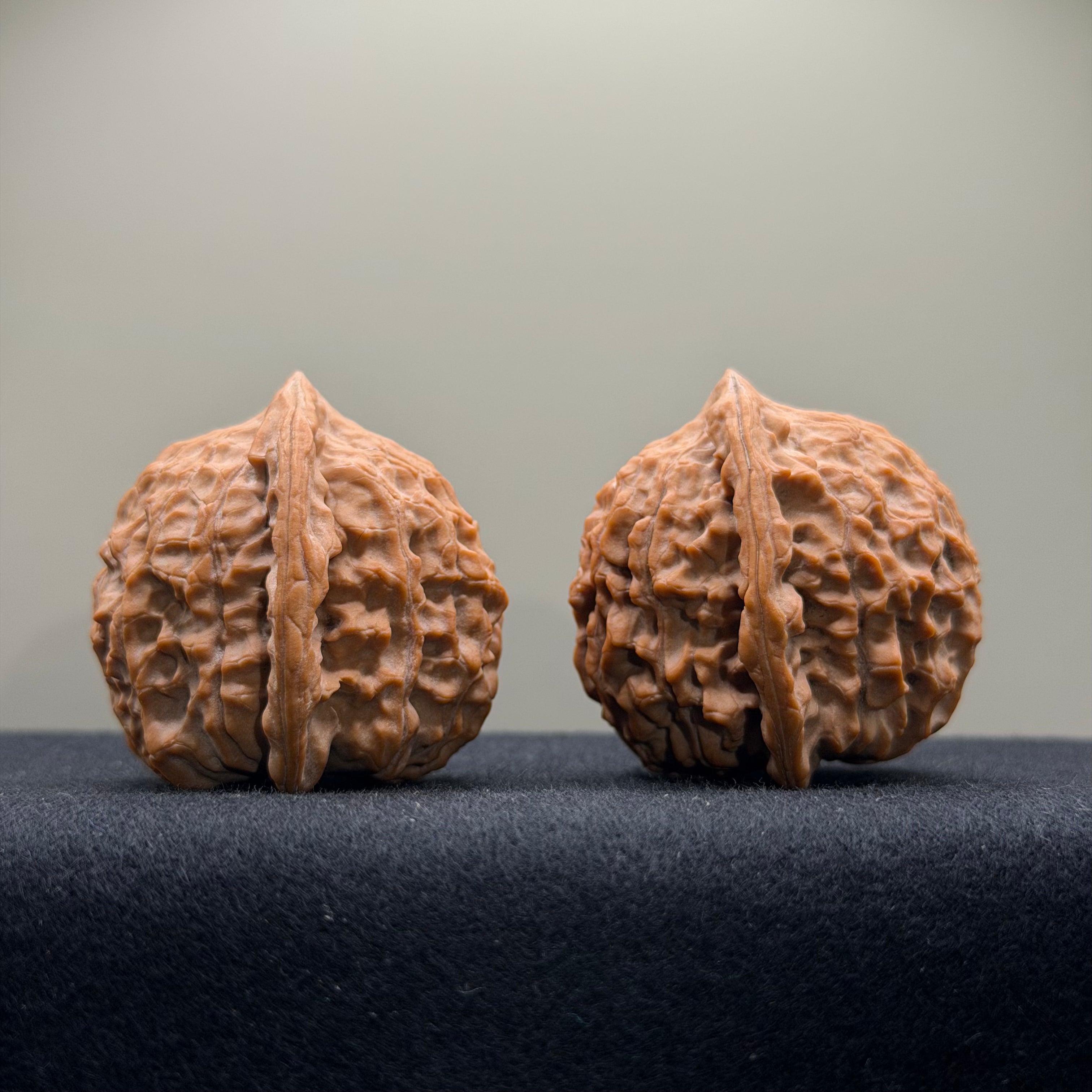 Wild · Wukong Wenwan Walnut  · 40mm · Natural · Collector Ritual