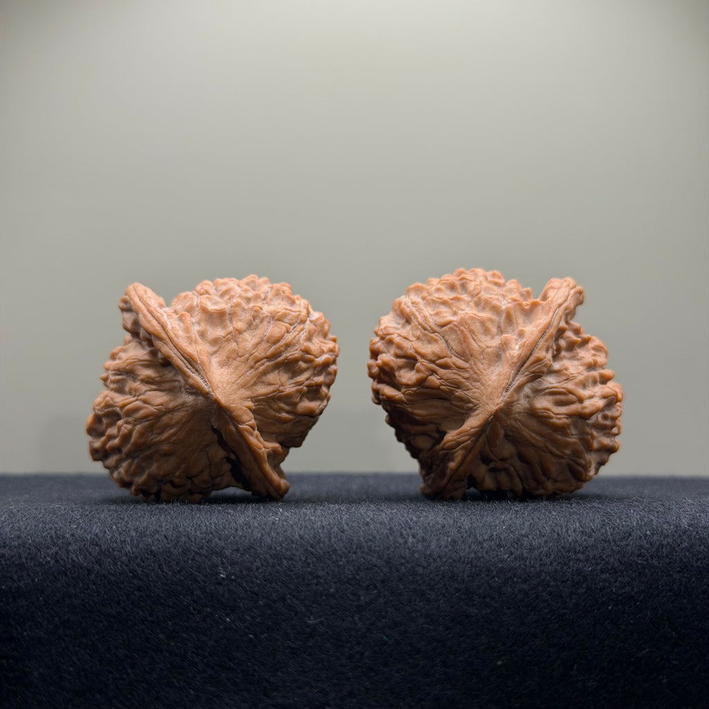 Wild · Wukong Wenwan Walnut  · 40mm · Natural · Collector Ritual