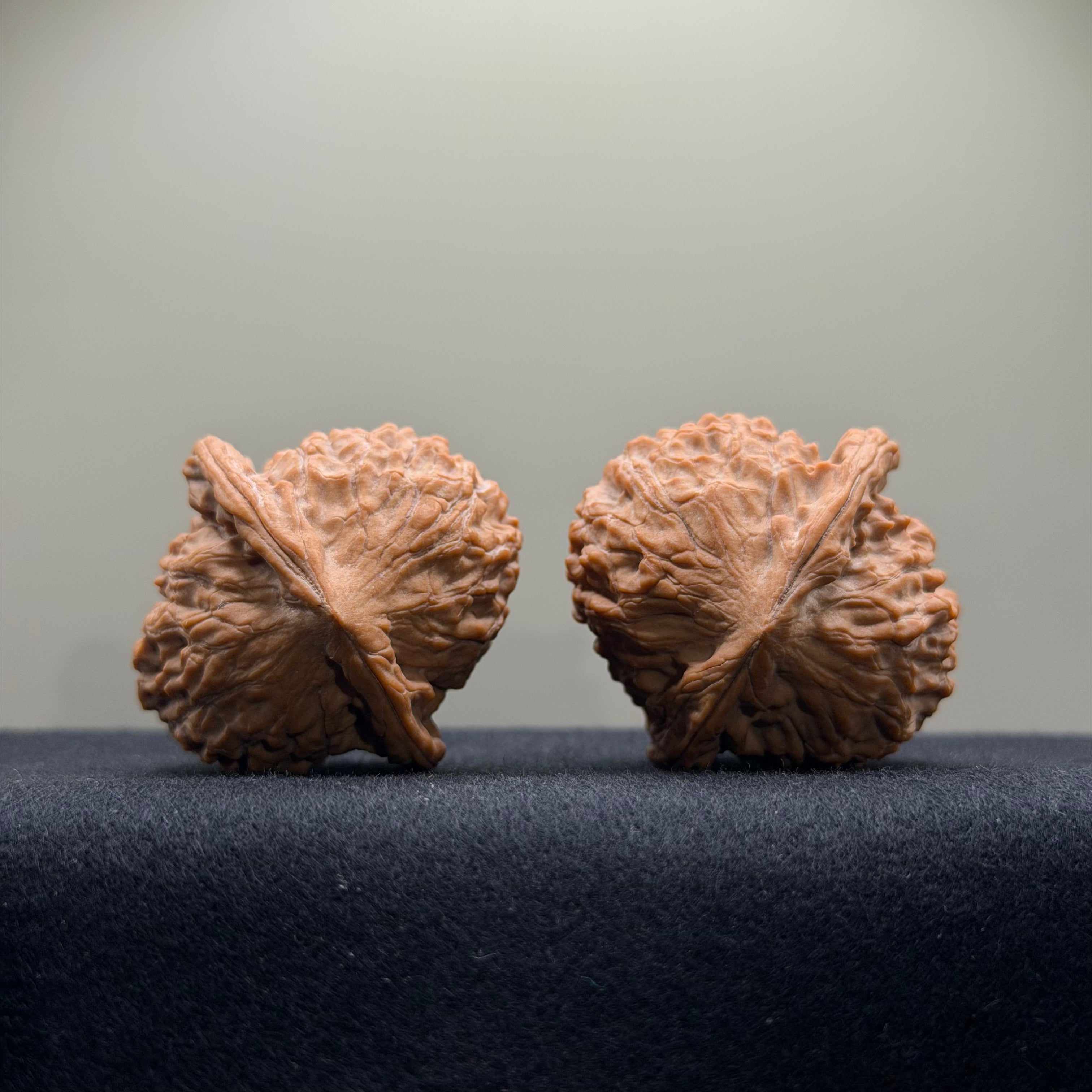 Wild · Wukong Wenwan Walnut  · 40mm · Natural · Collector Ritual