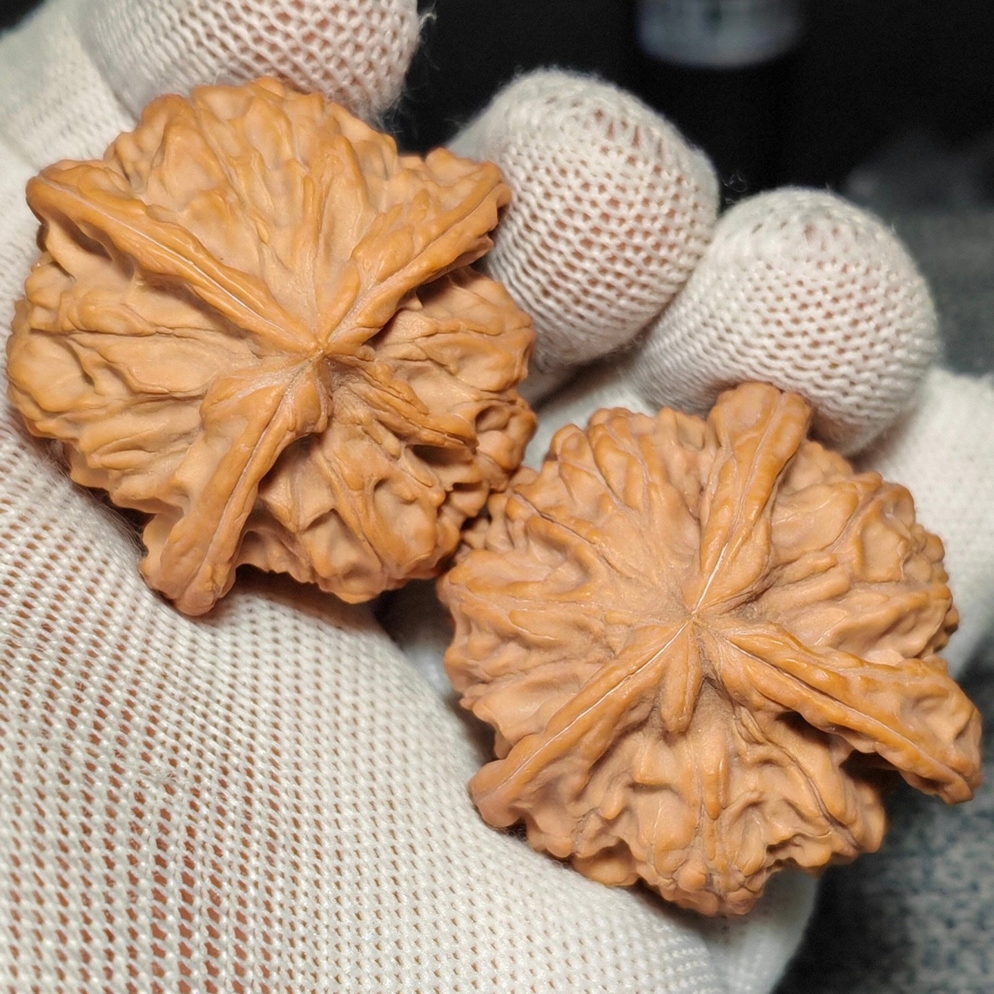 Three Ridge Wenwan Walnut · 43mm · Sourcing Pick