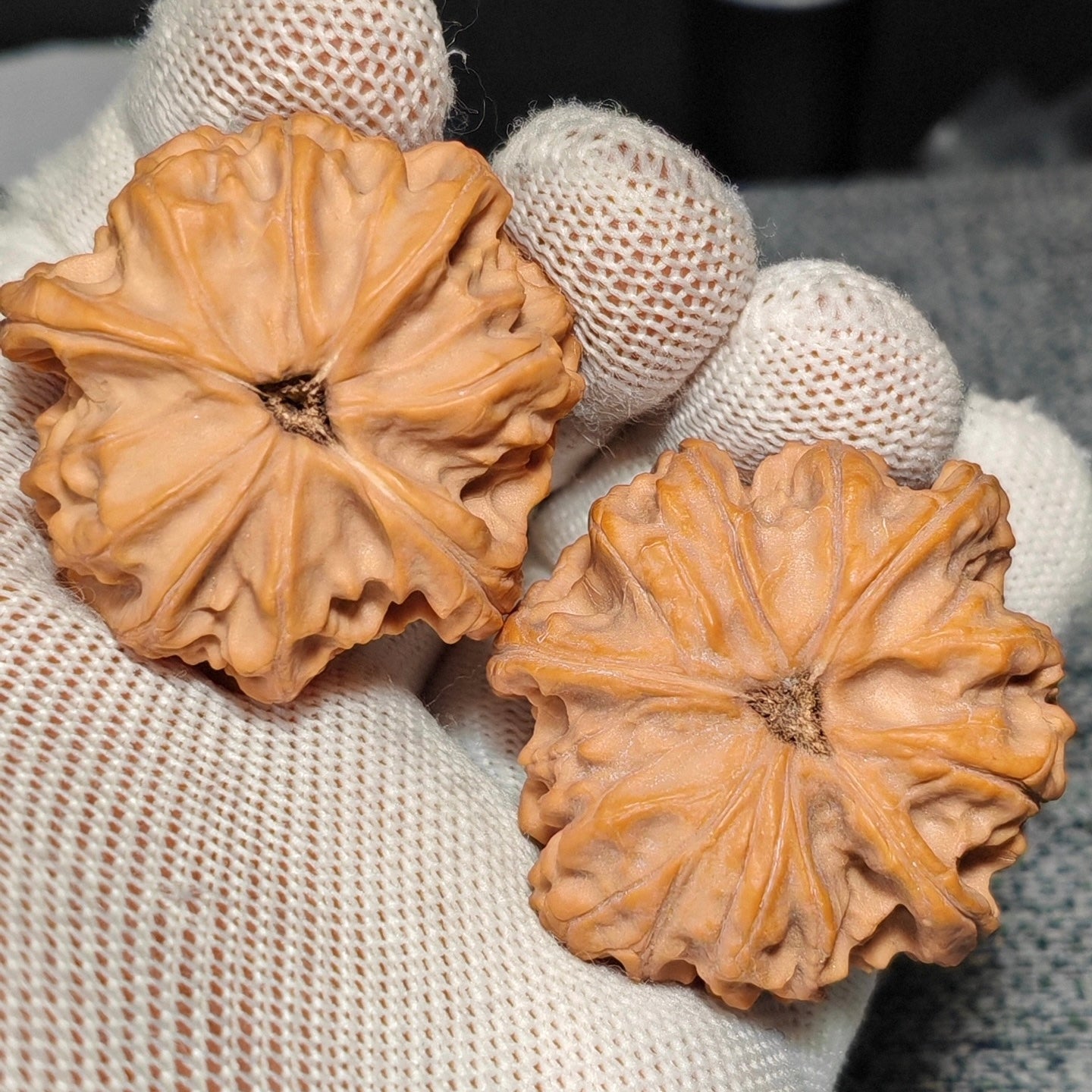 Three Ridge Wenwan Walnut · 43mm · Sourcing Pick
