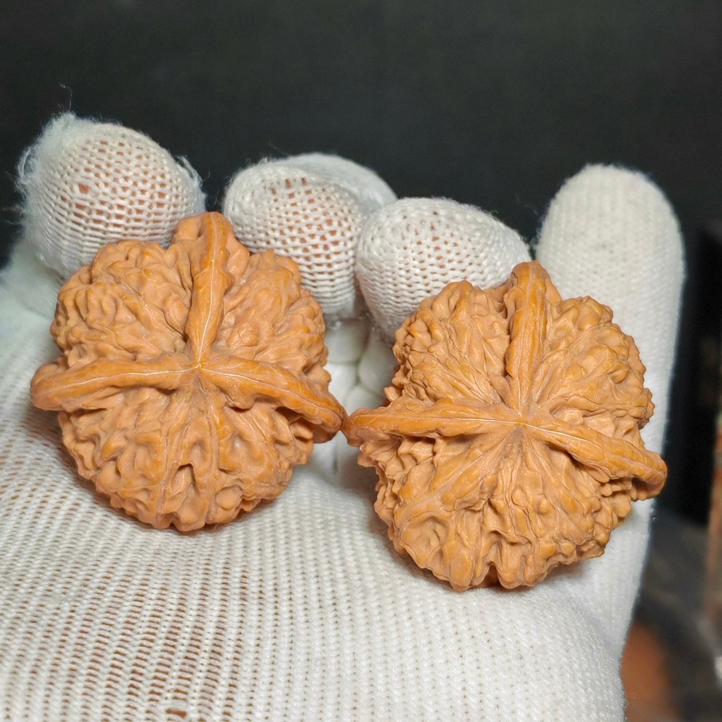 Three Ridge Wenwan Walnut · 37mm · Sourcing Pick