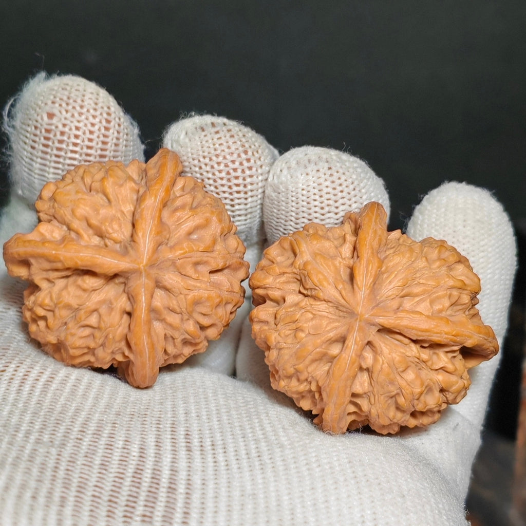 Three Ridge Wenwan Walnut · 37mm · Sourcing Pick