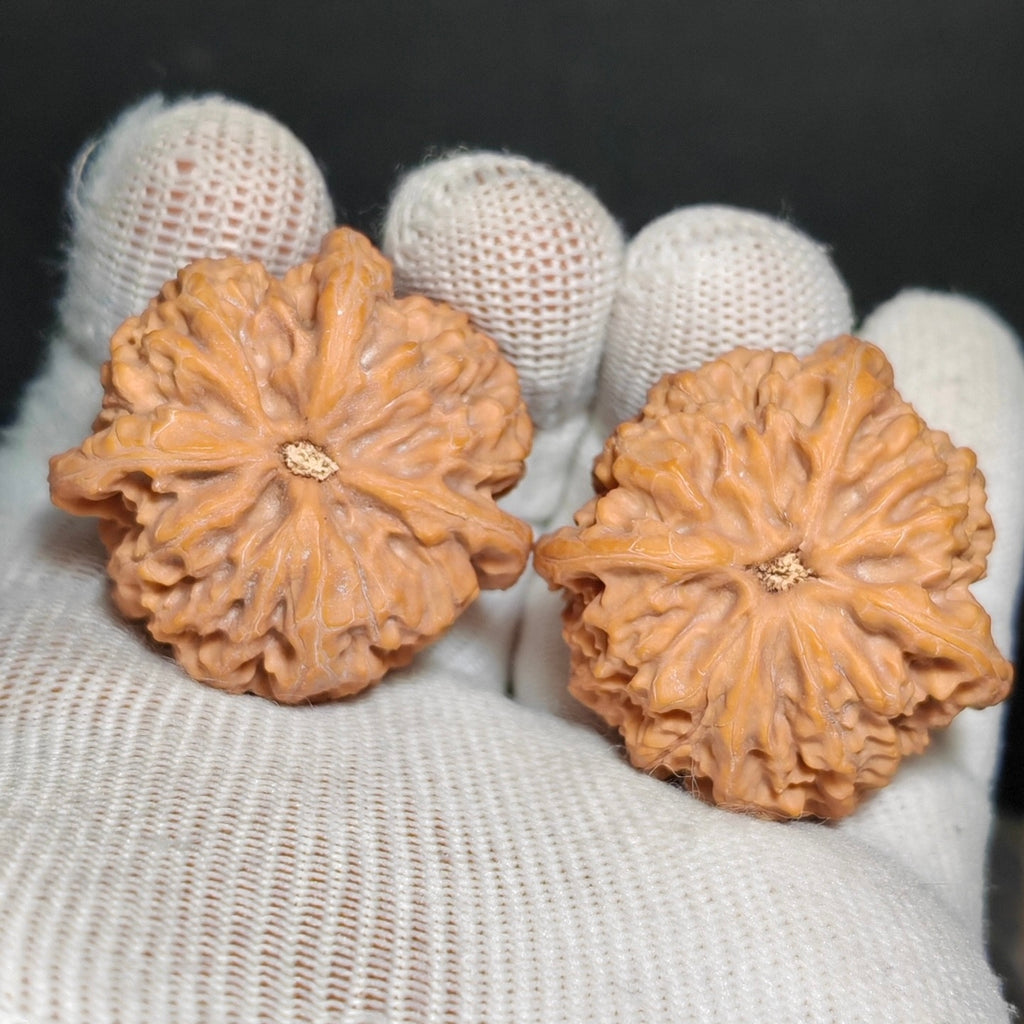Three Ridge Wenwan Walnut · 37mm · Sourcing Pick
