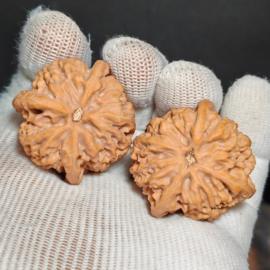 Three Ridge Wenwan Walnut · 37mm · Sourcing Pick