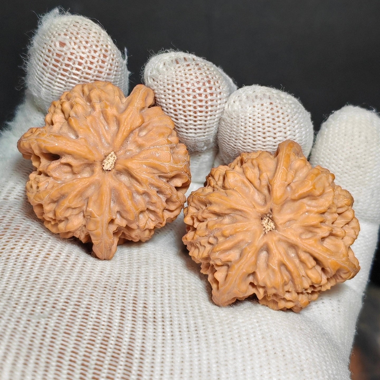 Three Ridge Wenwan Walnut · 37mm · Sourcing Pick