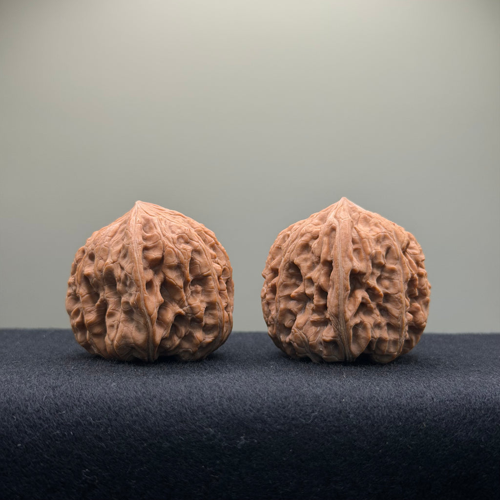 Pinggu Concave-Base Wenwan Walnut · 40mm · Entry Ritual