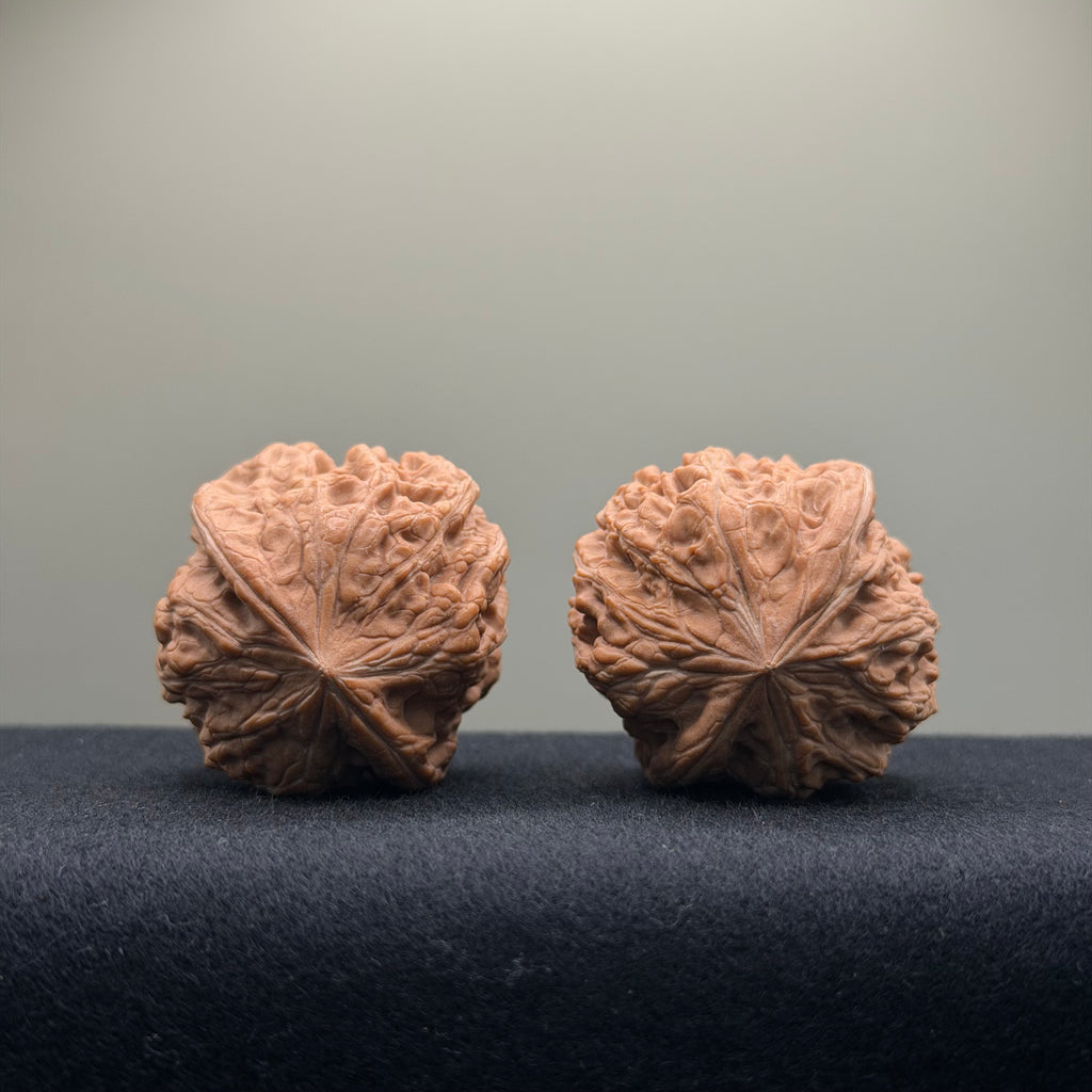 Pinggu Concave-Base Wenwan Walnut · 40mm · Entry Ritual