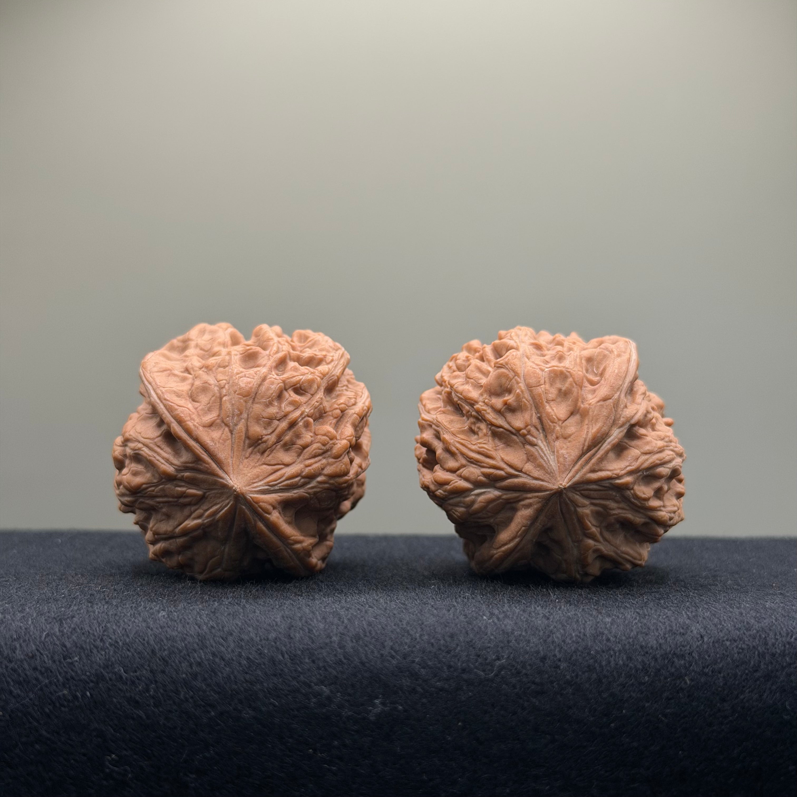 Pinggu Concave-Base Wenwan Walnut · 40mm · Entry Ritual
