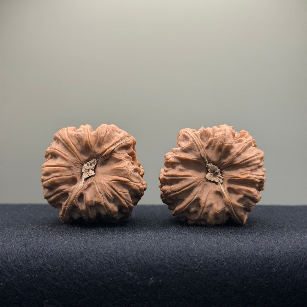 Pinggu Concave-Base Wenwan Walnut · 40mm · Entry Ritual