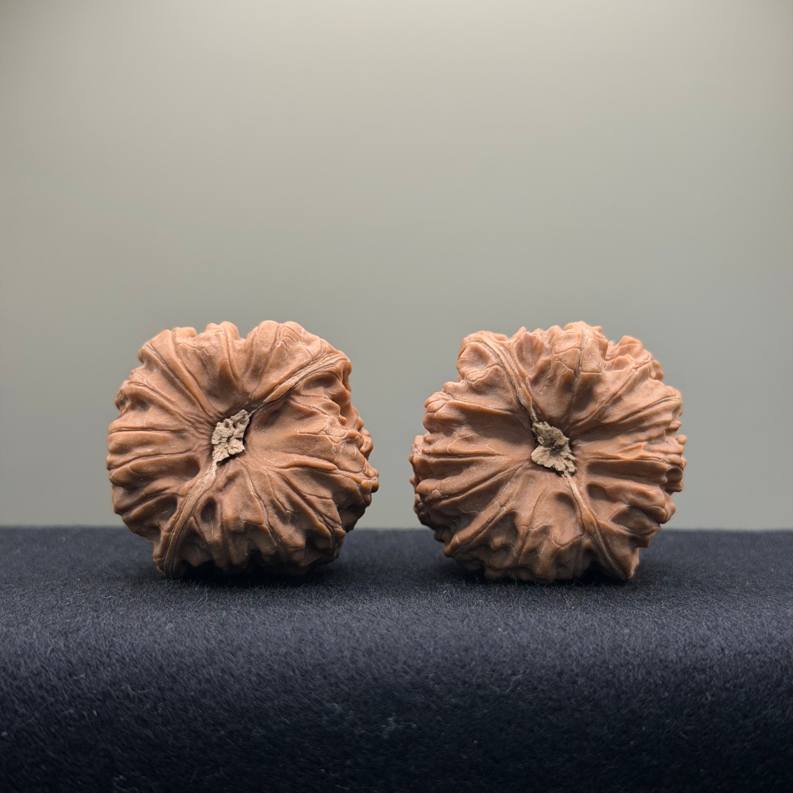 Pinggu Concave-Base Wenwan Walnut · 40mm · Entry Ritual