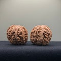 Thick Ribs Wenwan Walnut · 39mm · Natural · Entry Ritual