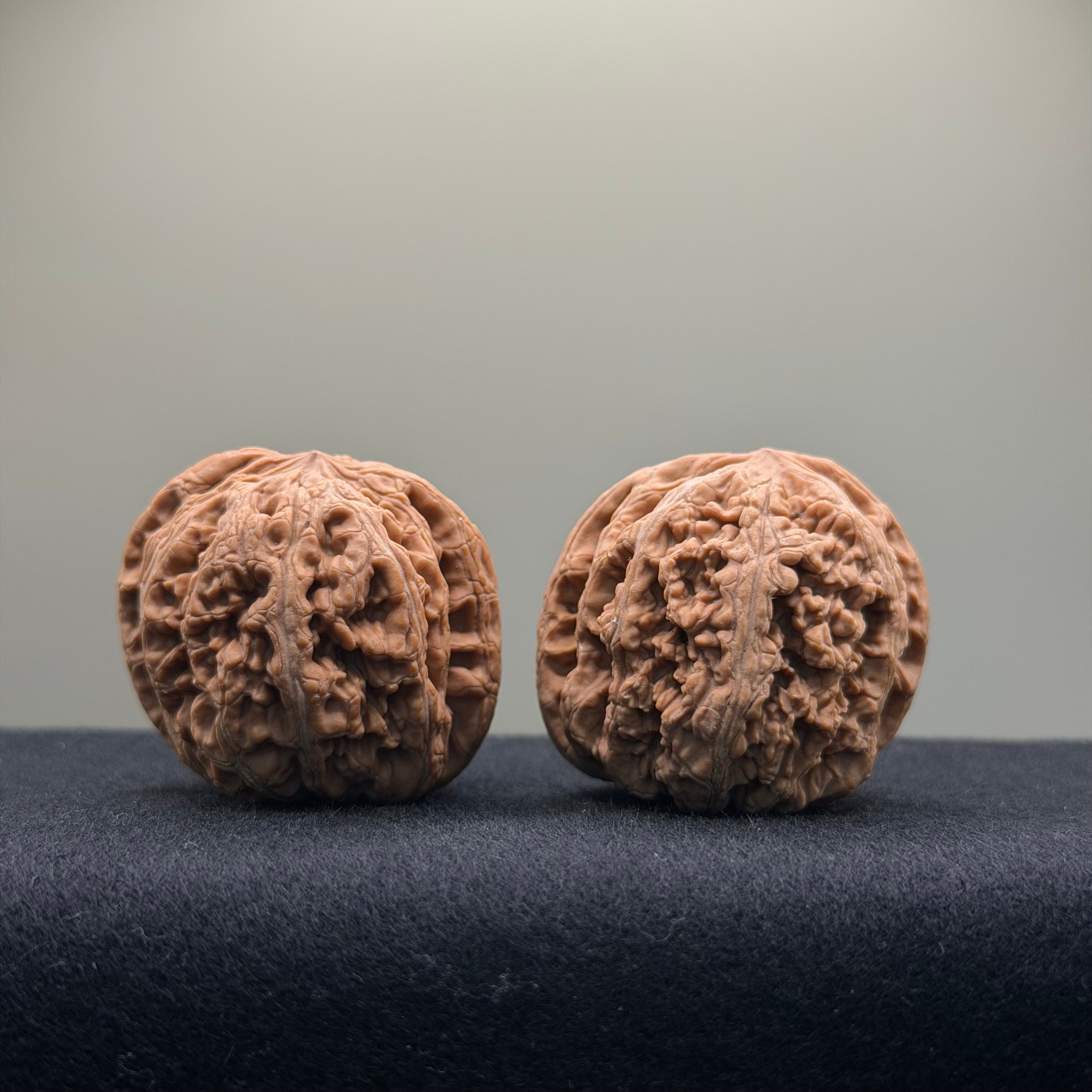 Thick Ribs Wenwan Walnut · 39mm · Natural · Entry Ritual