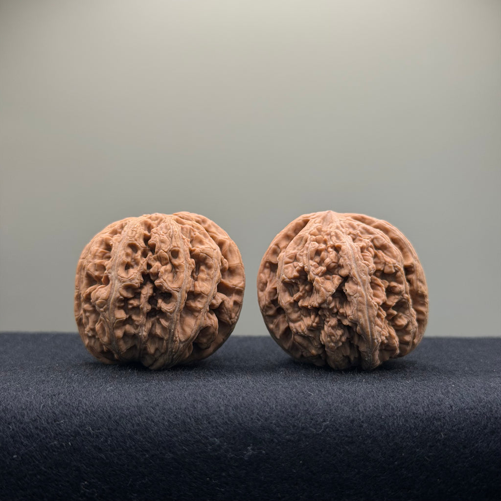 Thick Ribs Wenwan Walnut · 39mm · Natural · Entry Ritual