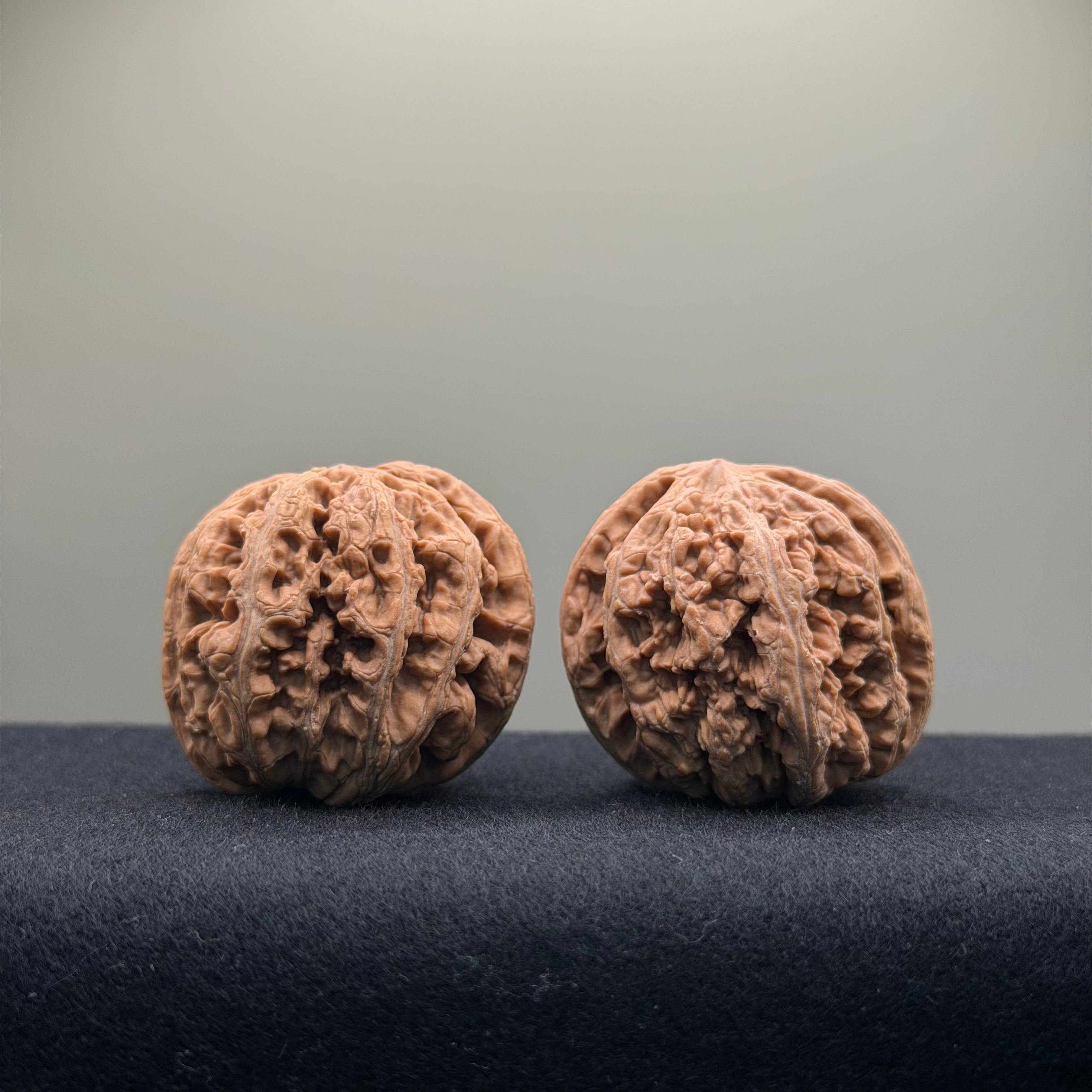 Thick Ribs Wenwan Walnut · 39mm · Natural · Entry Ritual