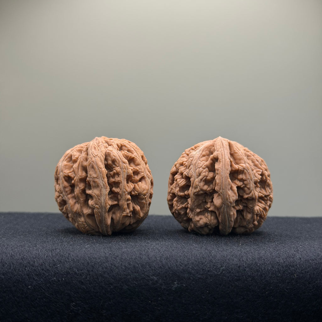 Thick Ribs Wenwan Walnut · 39mm · Natural · Entry Ritual