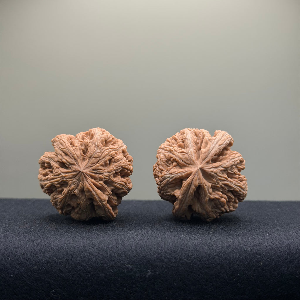 Thick Ribs Wenwan Walnut · 39mm · Natural · Entry Ritual