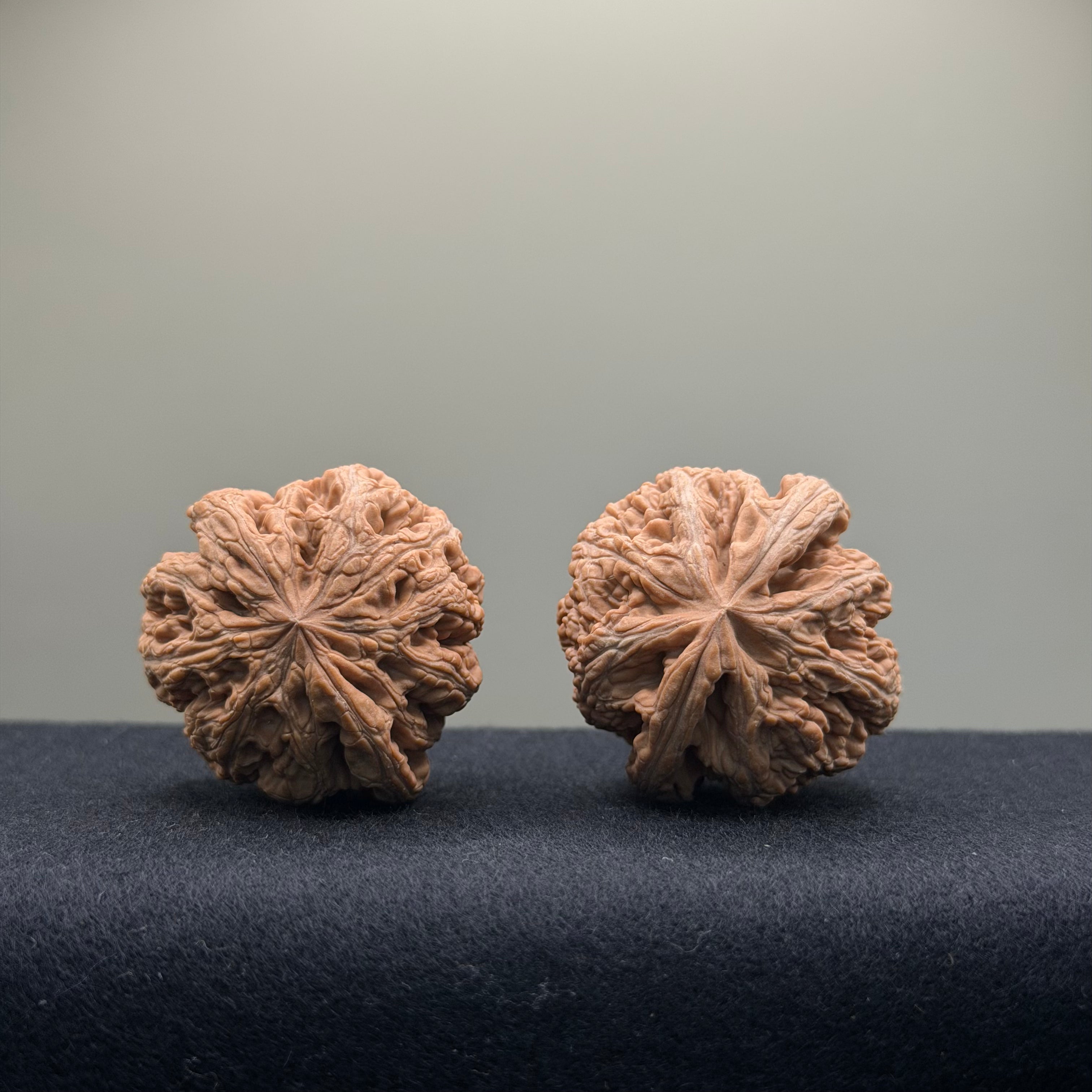 Thick Ribs Wenwan Walnut · 39mm · Natural · Entry Ritual